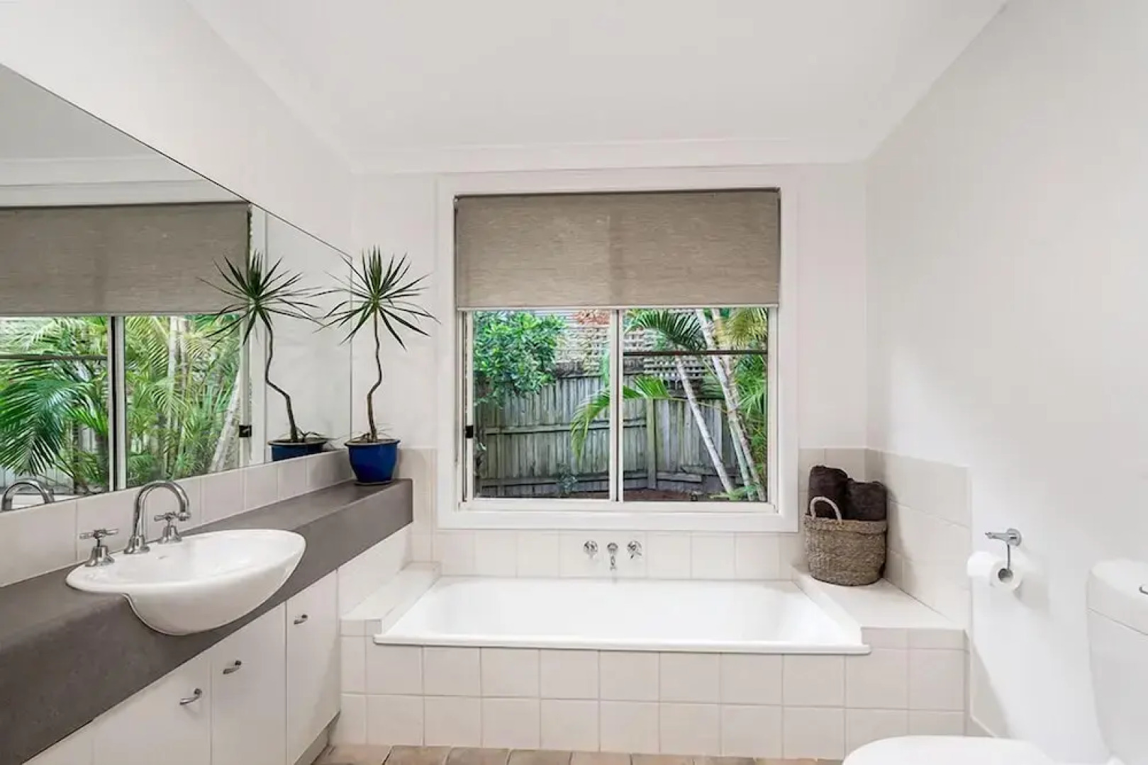 Your Coastal Treetop Escape