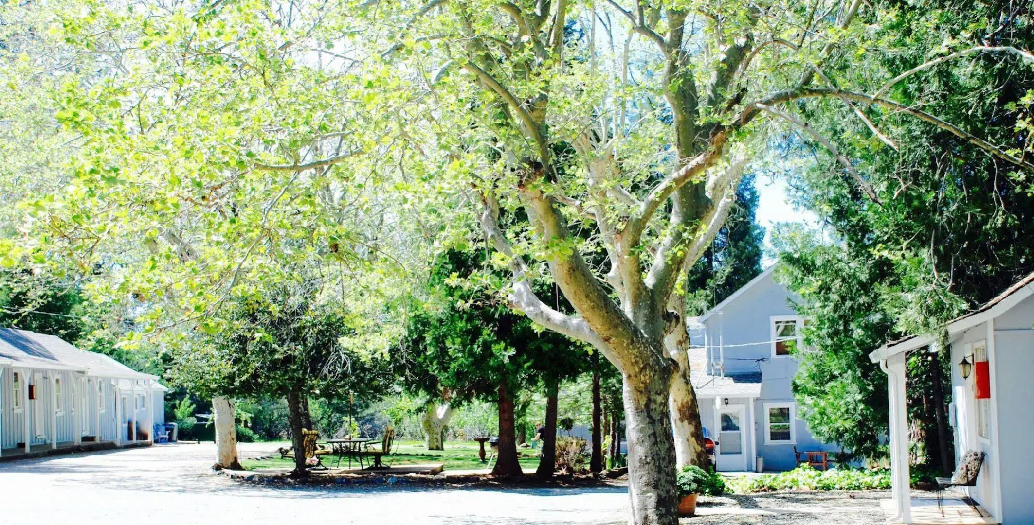 The Pines Inn and Cottages