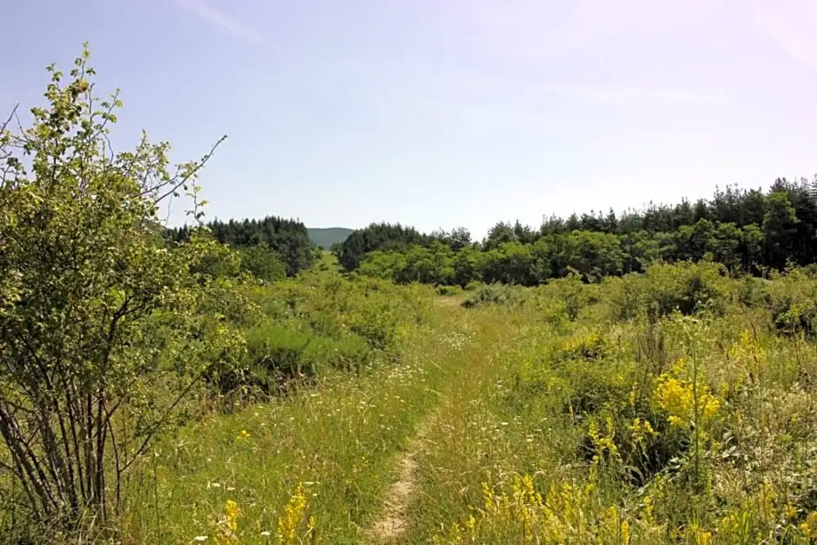 B&B Poggio alla Cuna