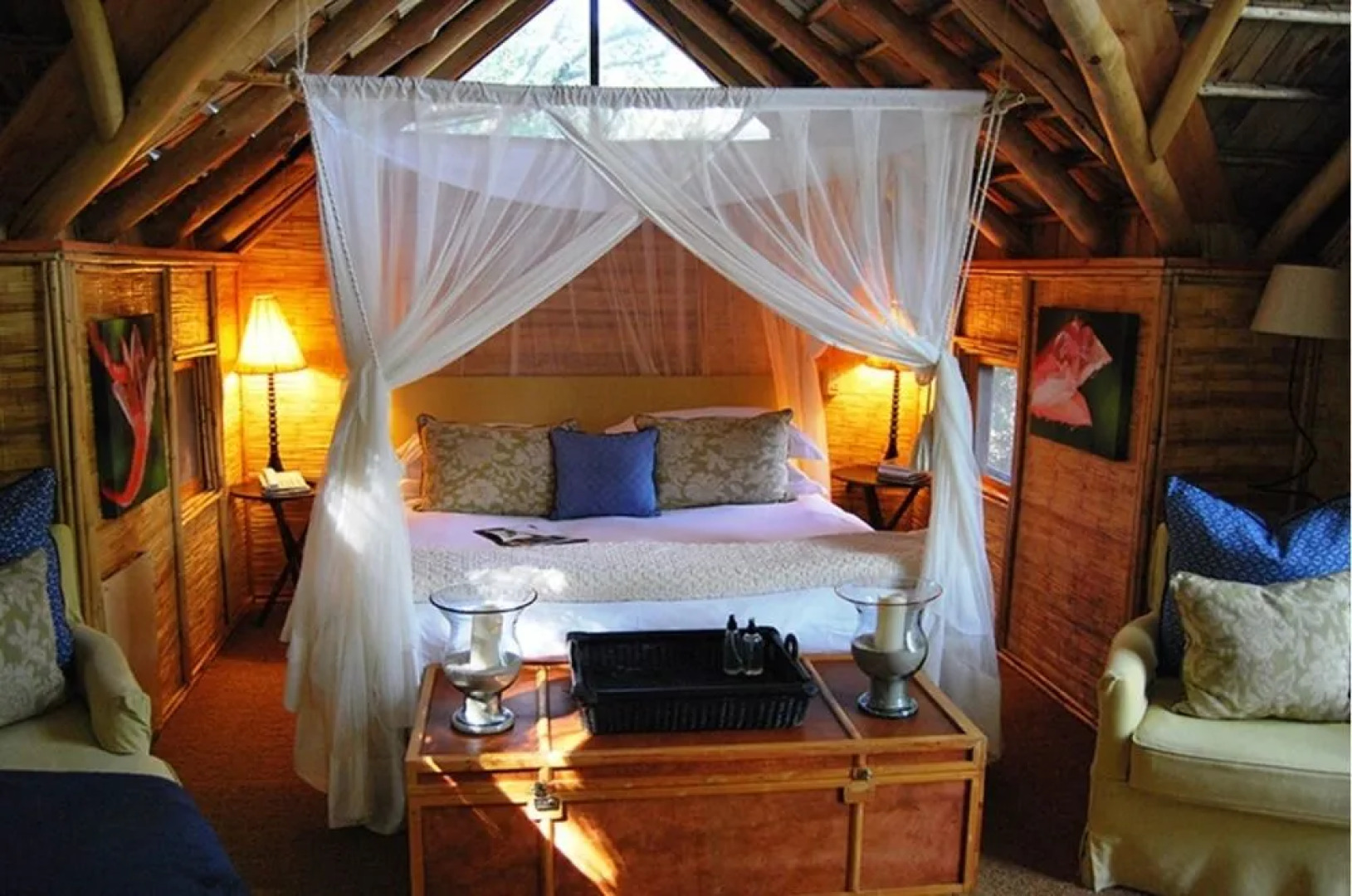 Phantom Forest Eco Reserve