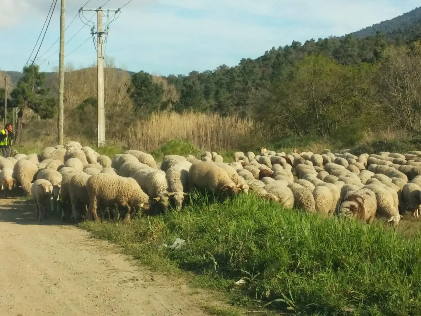 Lavish Holiday Home in Le Plan-de-la-tour With Swimming Pool