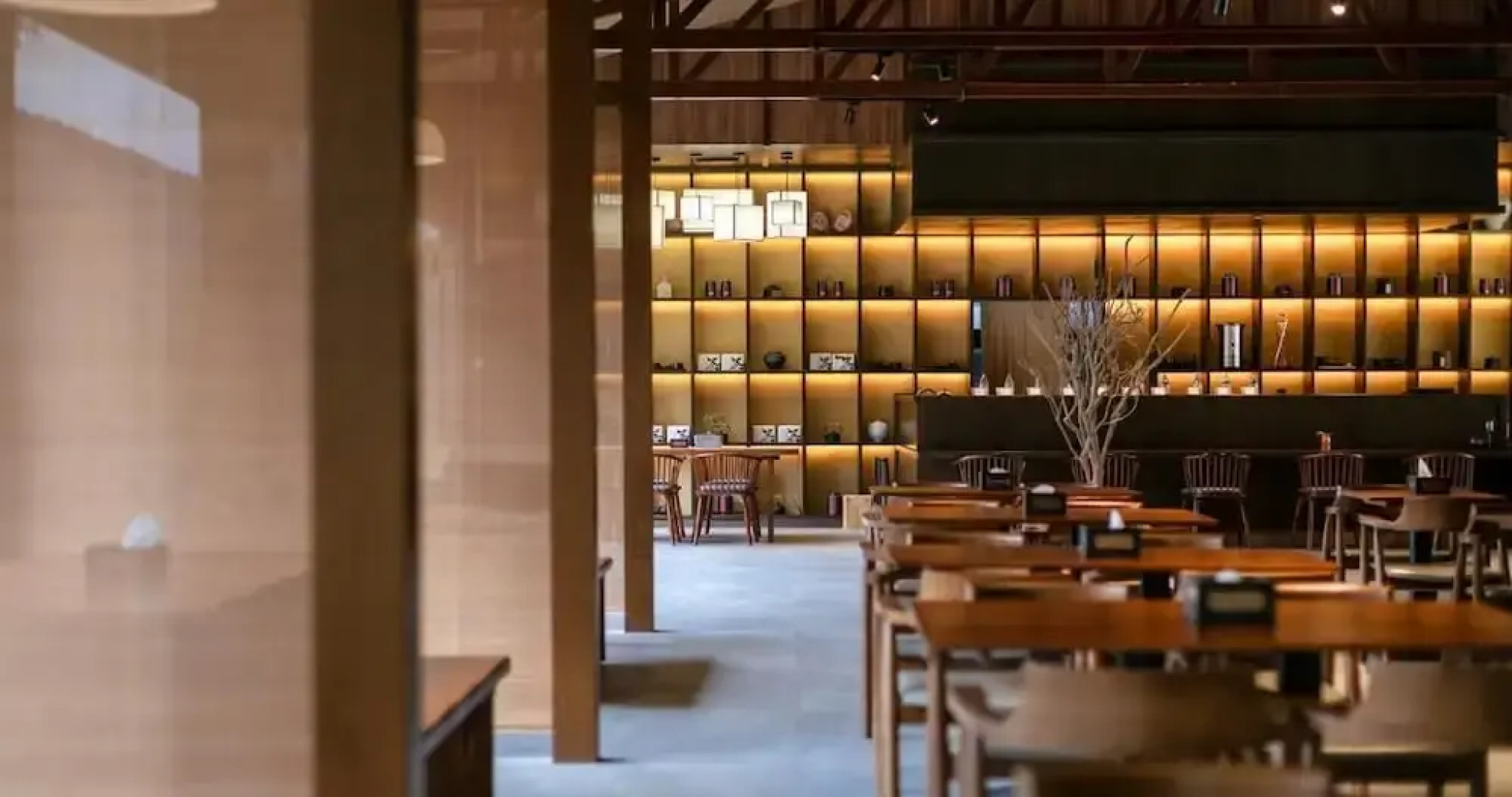 Zen By Stellar Cameron