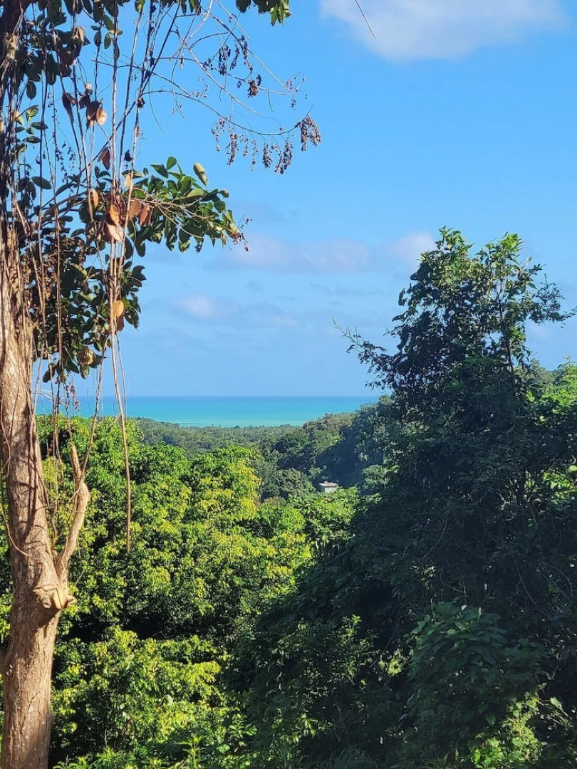 The Serene House Bed & Breakfast