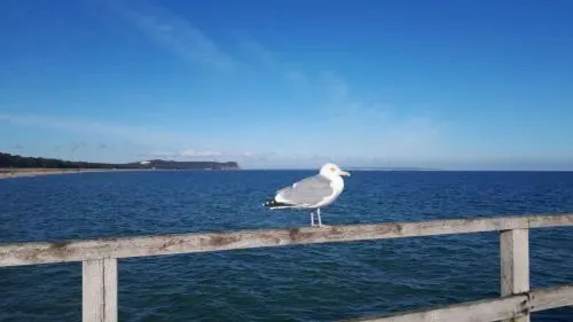 Villa Strandmuschel - FeWo 06