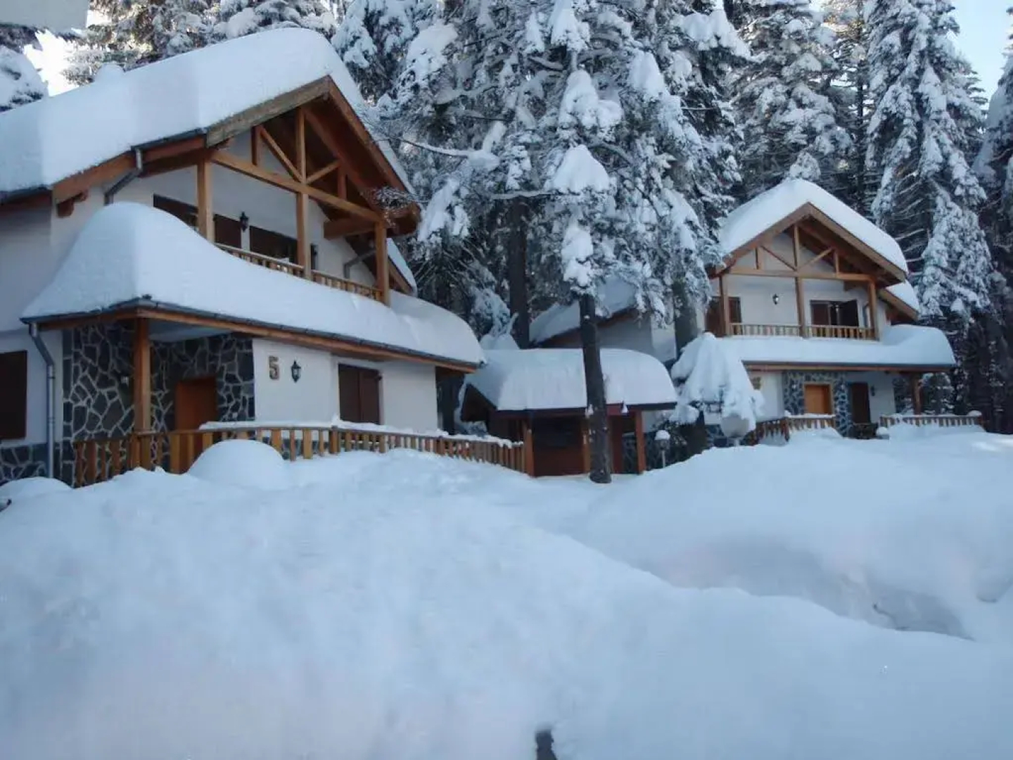 Saint George Borovets Hotel