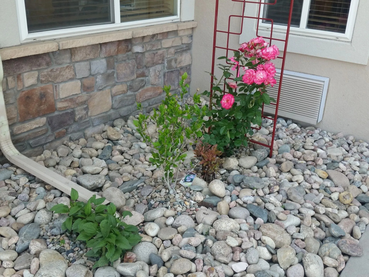 Comfort Inn Fort Collins North