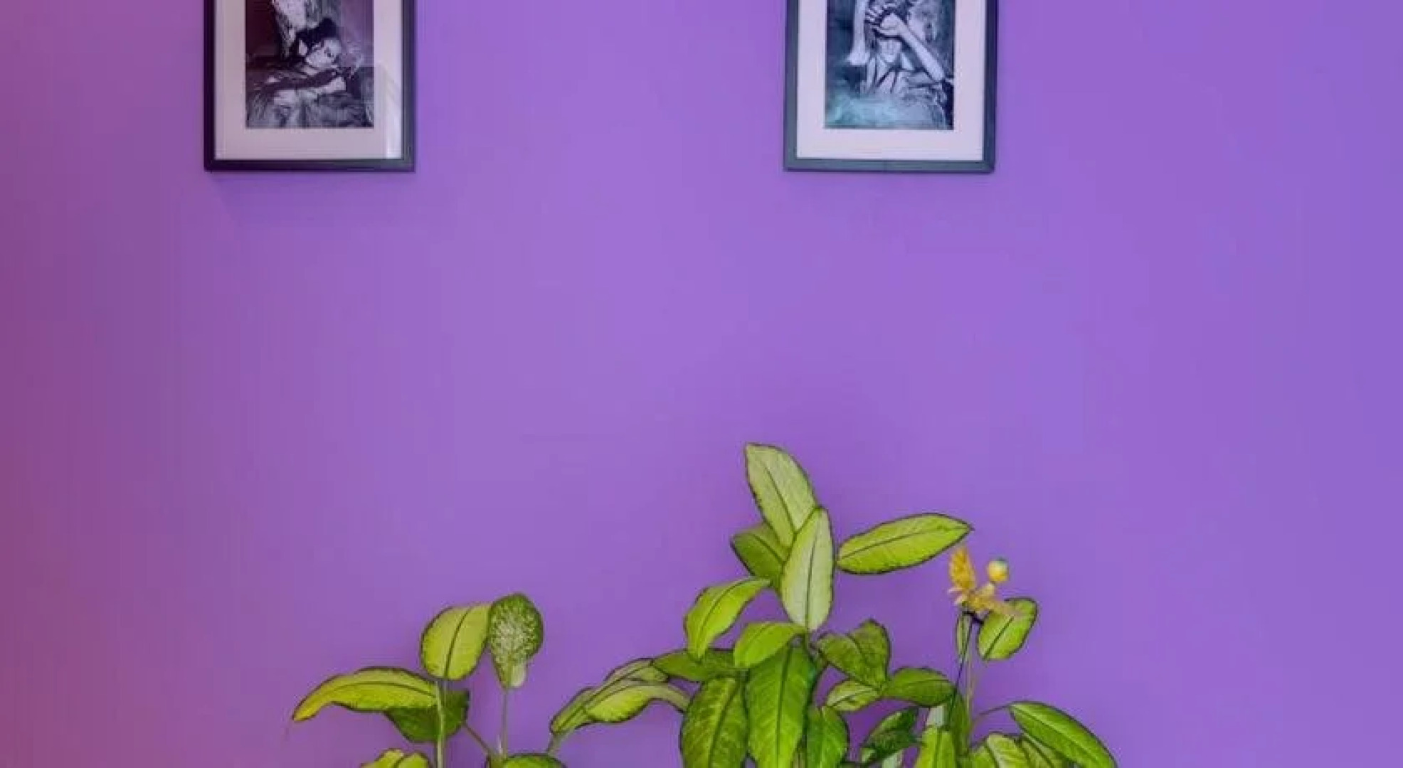 Гостевой дом Рандеву