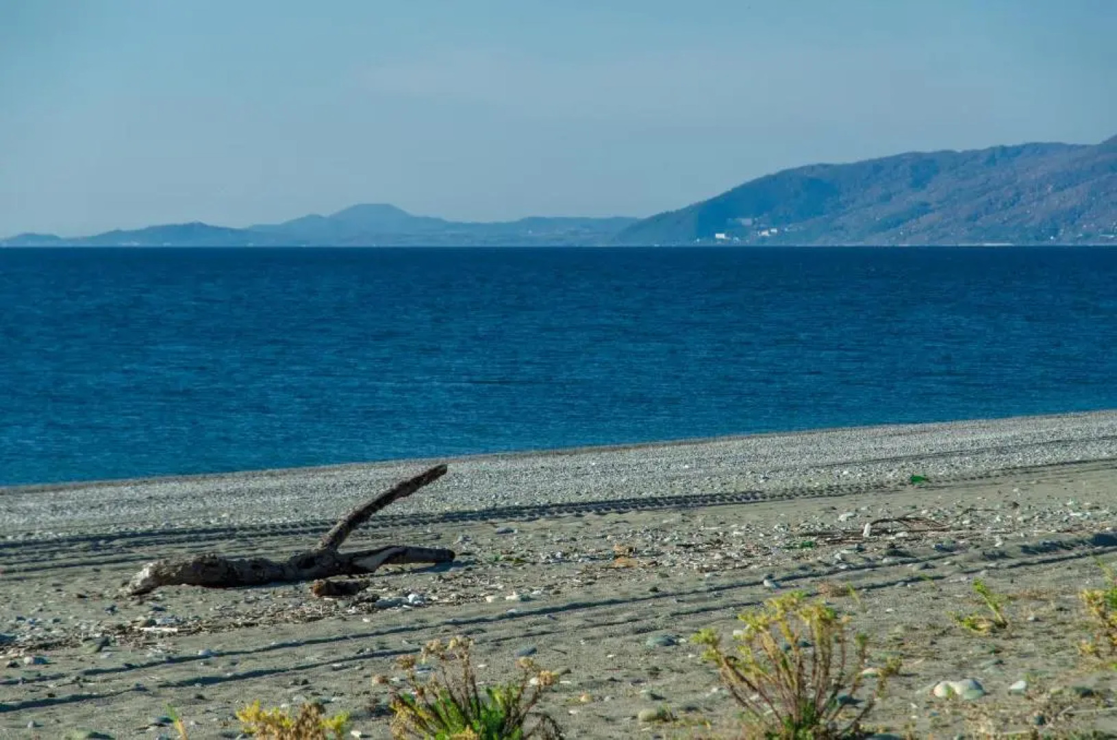 Гостевой дом Тория