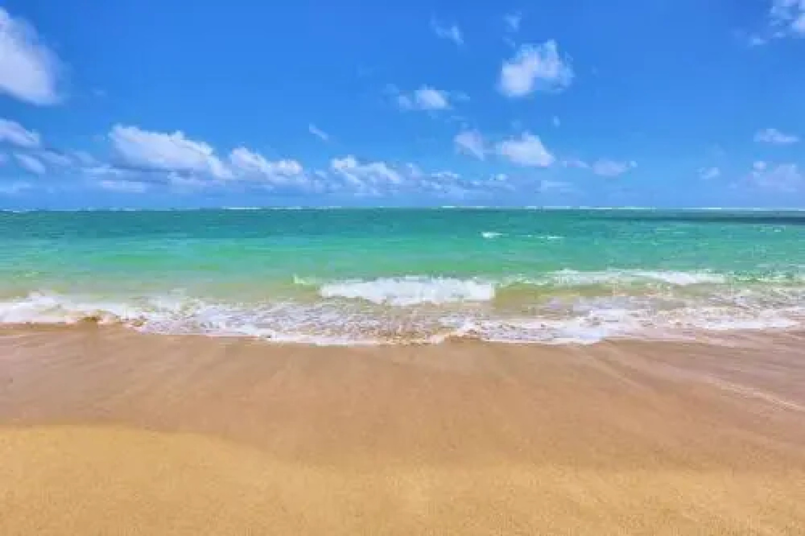 Lahaina Luxury Beach Condos