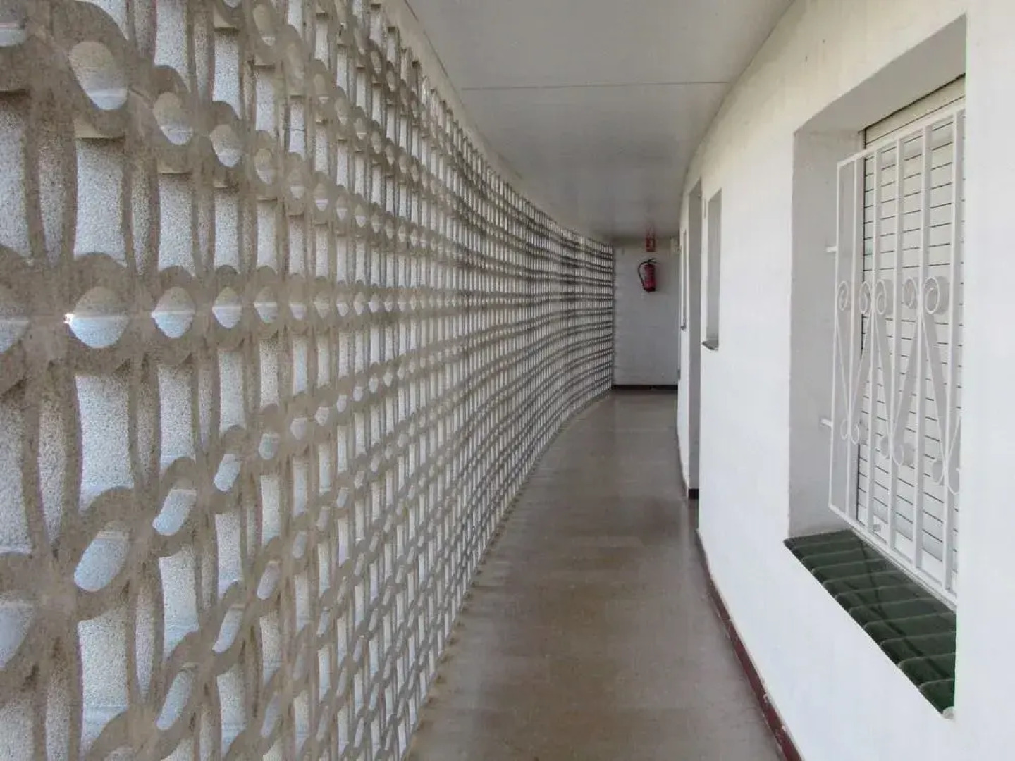 Apartamento Palmeras 1.1