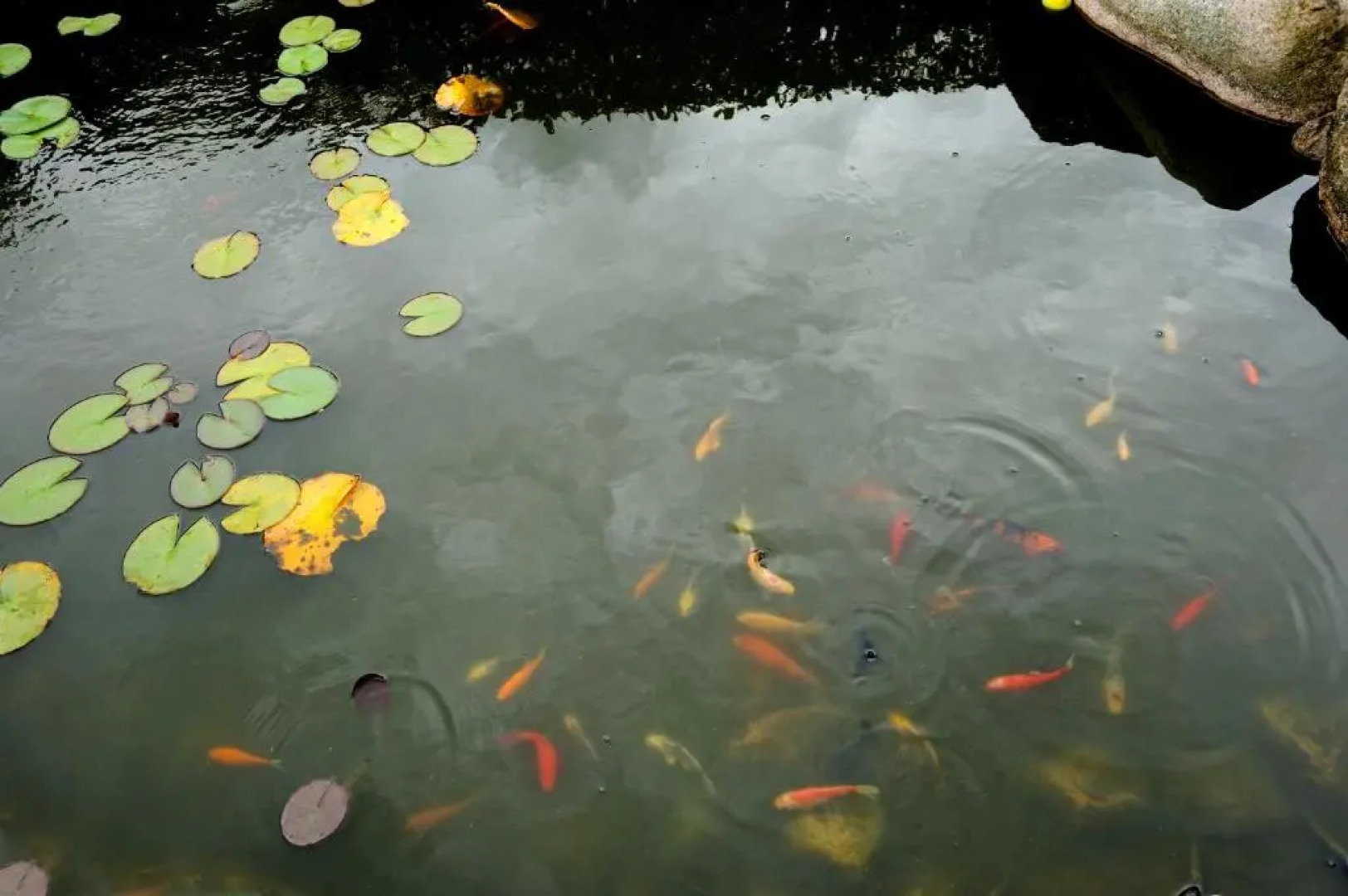 Bed & Breakfast Horsens Udsigten