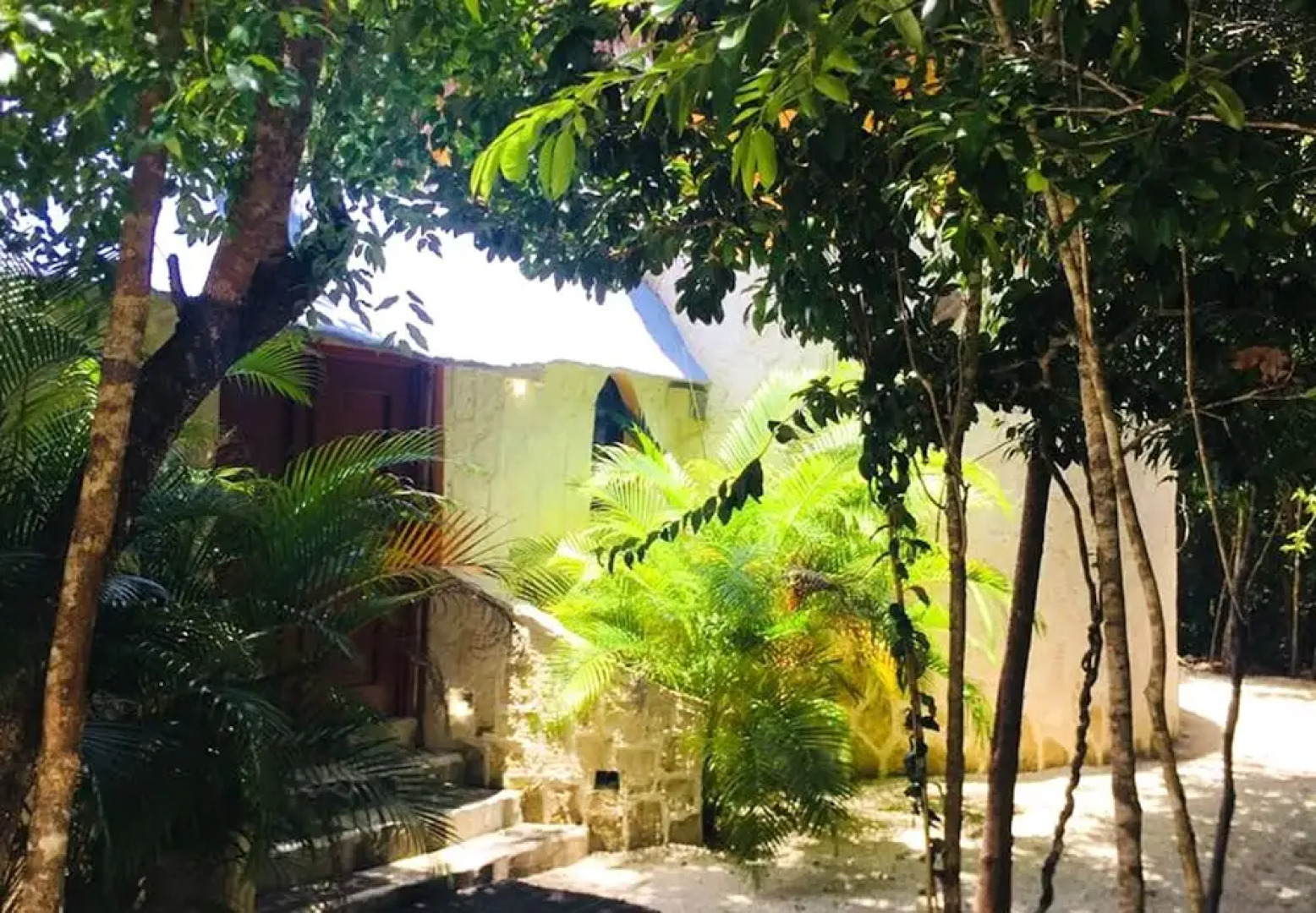 Raíces del Cielo Oasis Holístico