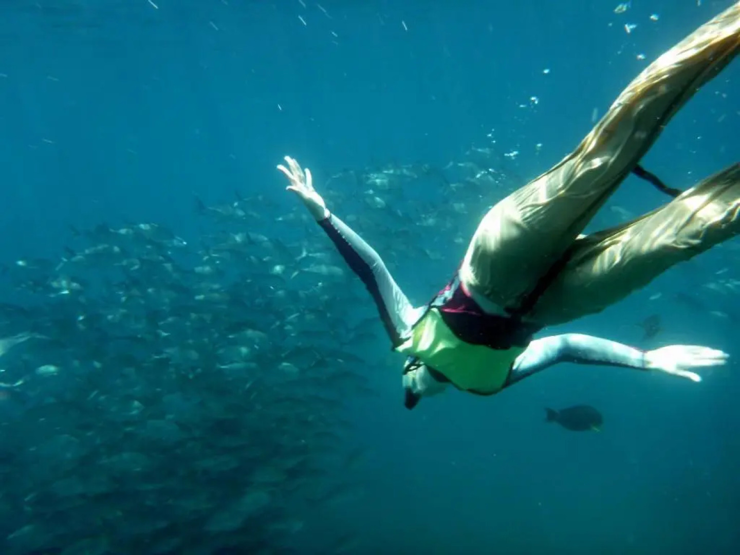 Isla Violin Eco Lodge