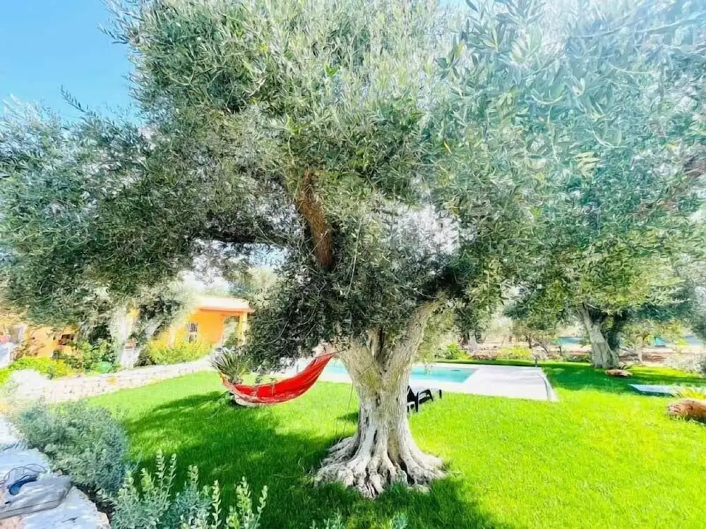 3724 All' Ombra Degli Ulivi by Barbarhouse