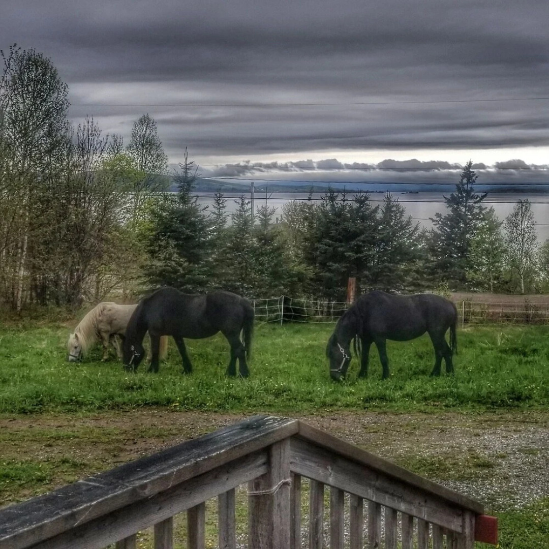 Seaweed and Sod Farm Bed & Breakfast