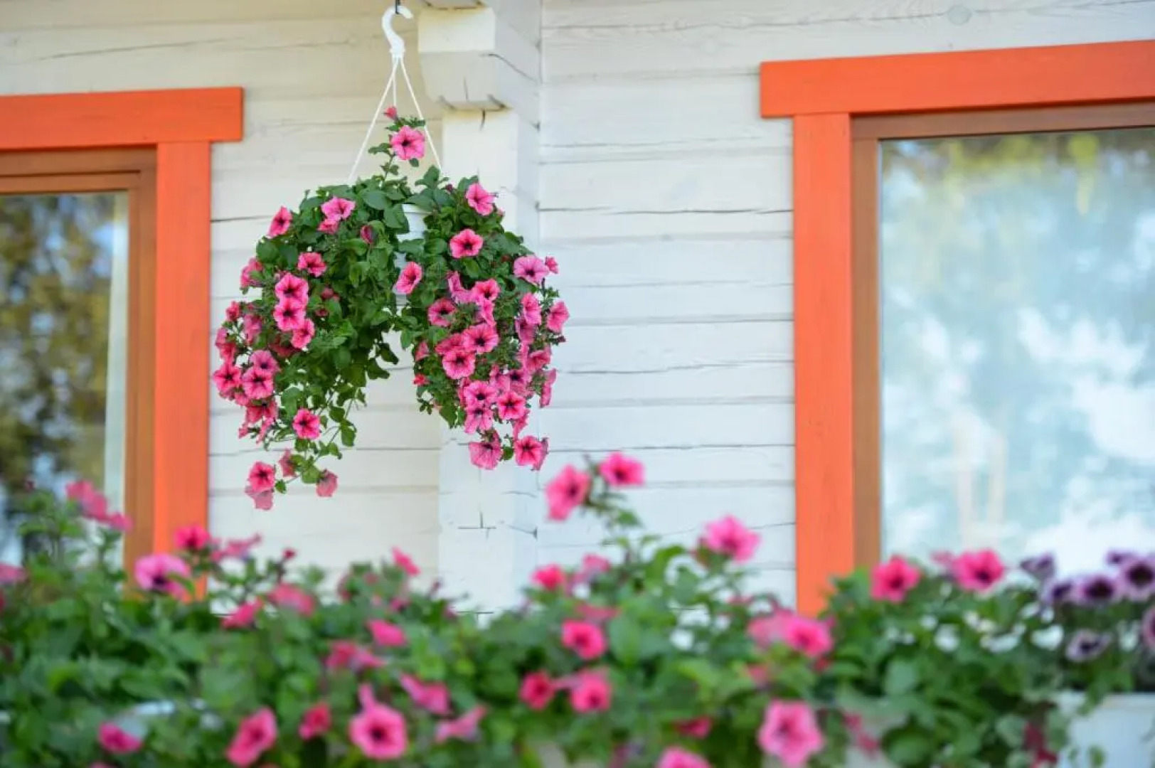 Vasekoja Holiday Home