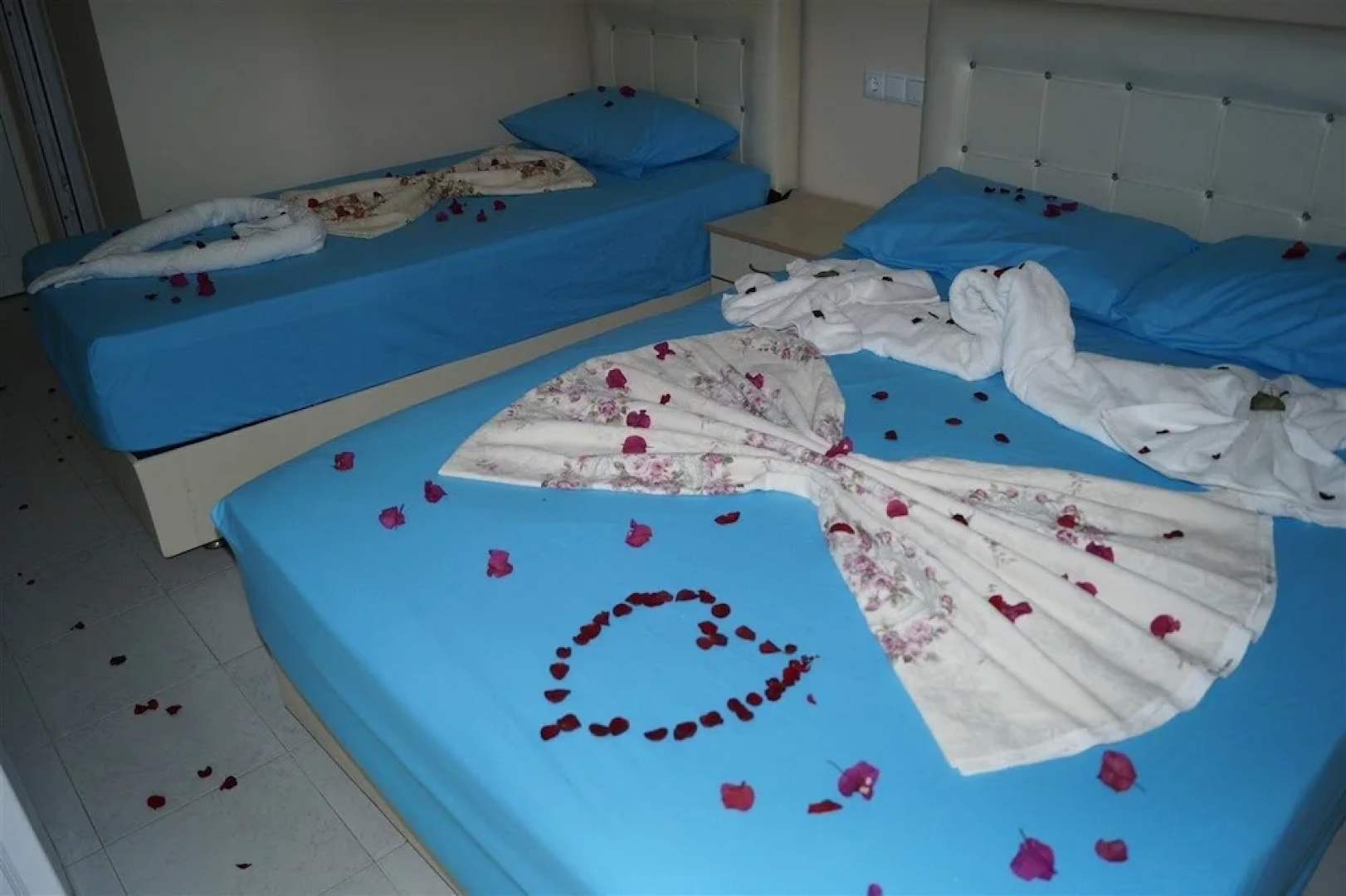 Delfin Otel