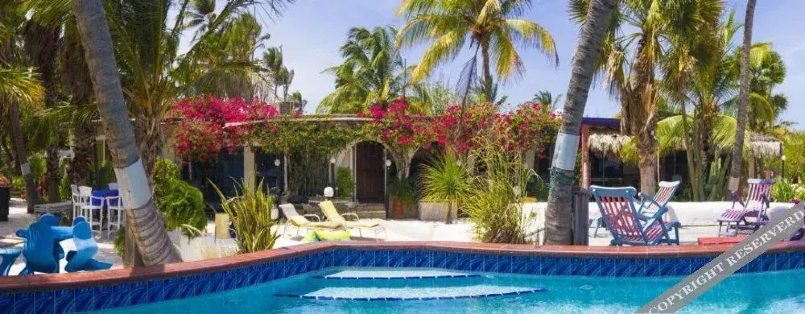 Aruba  Palm Beach House