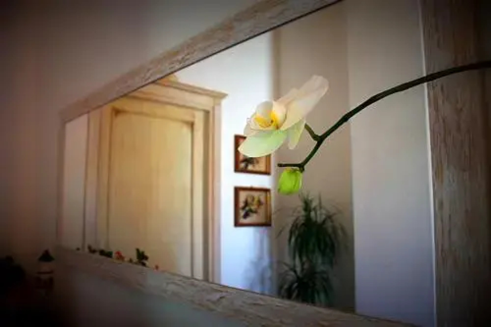 Il Melograno Di Nora