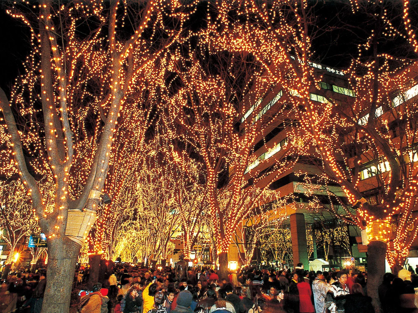 Hotel Premium Green Hills