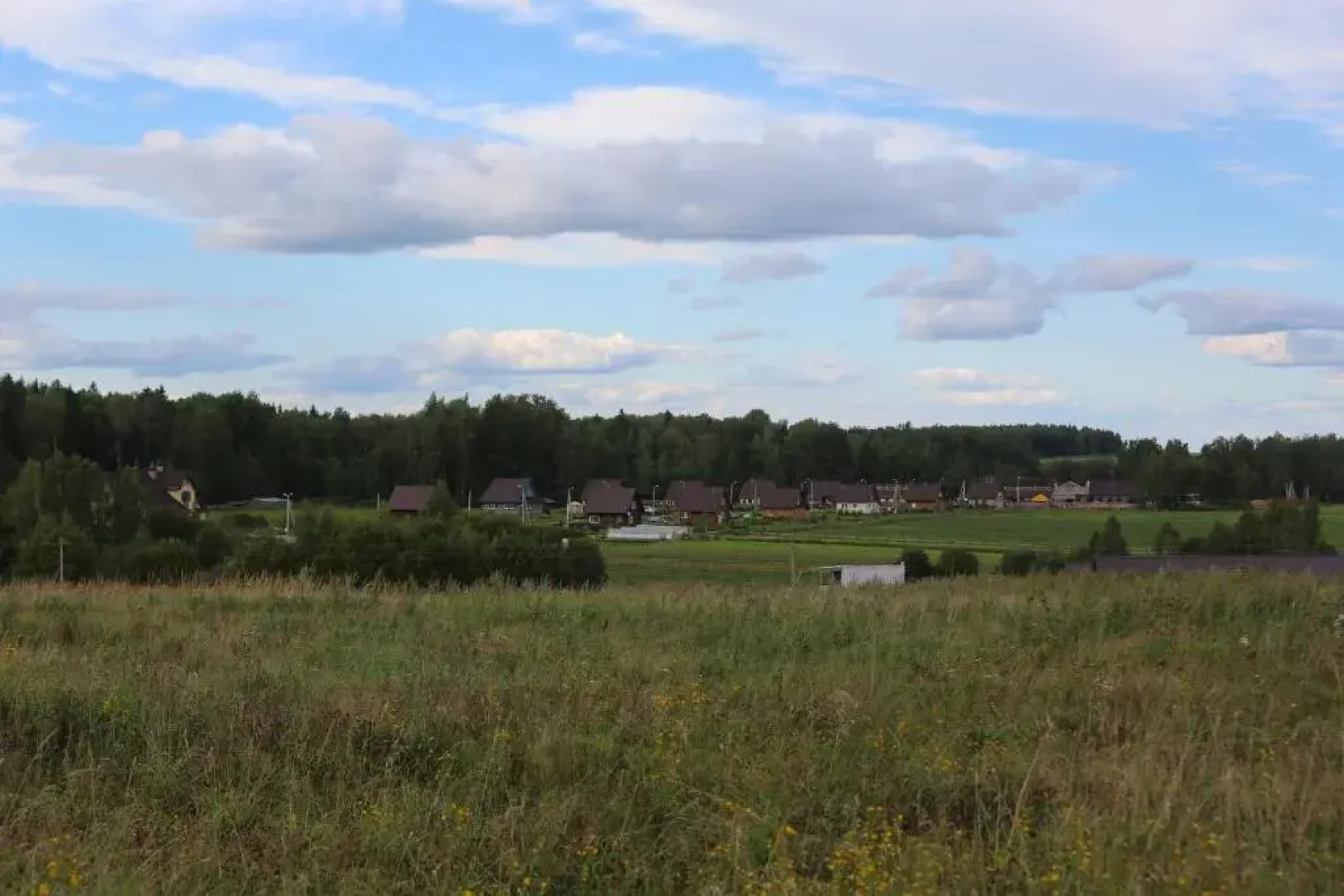 КФХ Ольгино