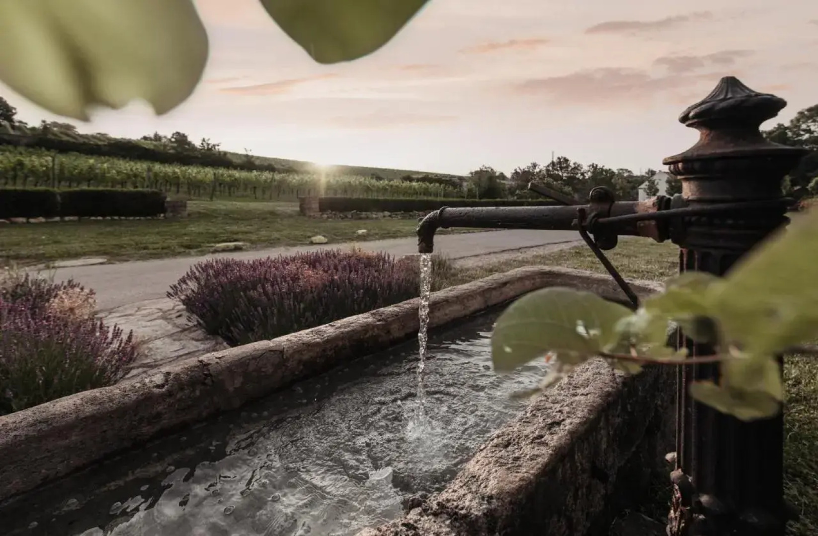 Schlaffass - Schlafen im Holzfass Thallern