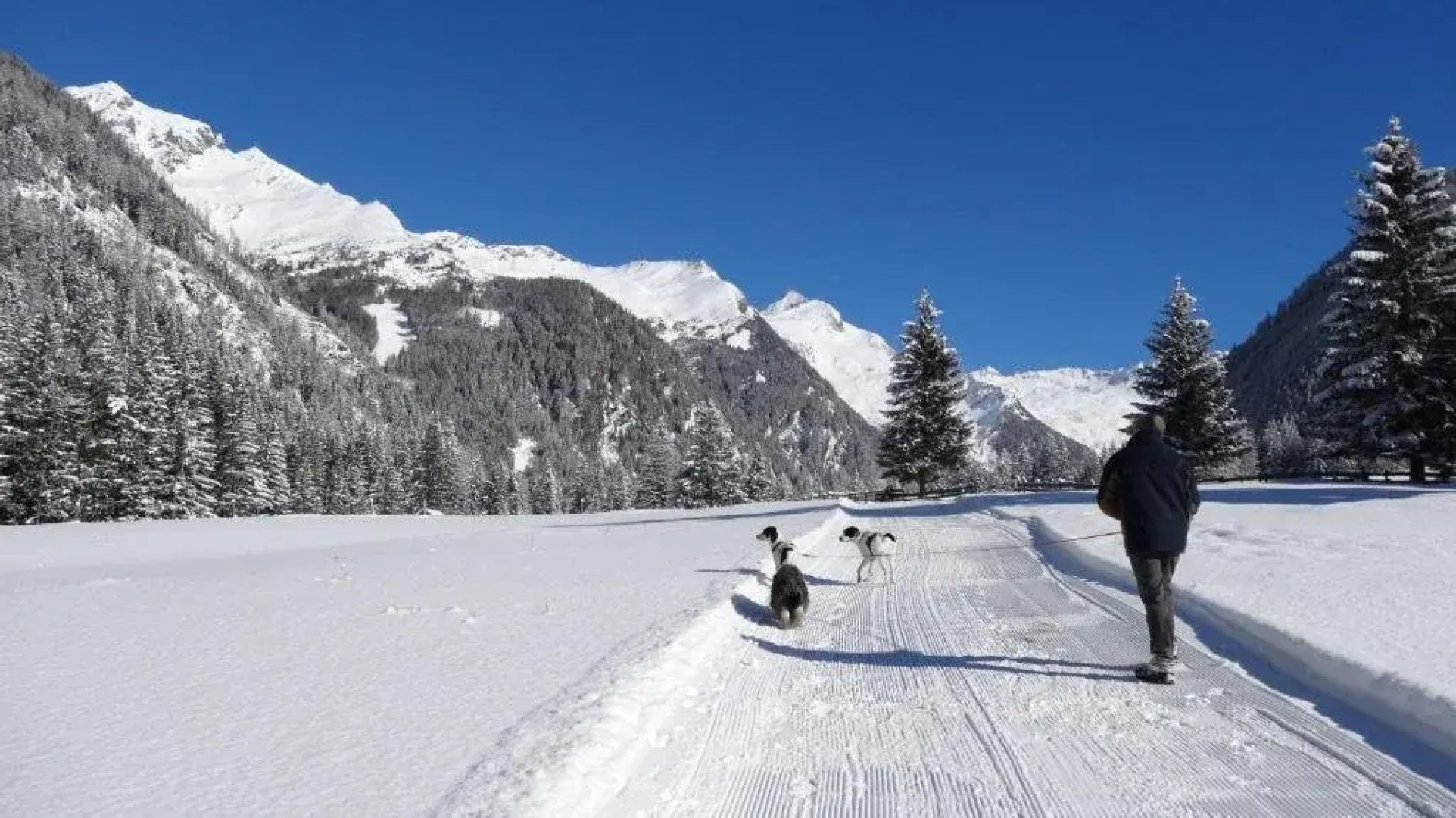 Carinthia Appartements