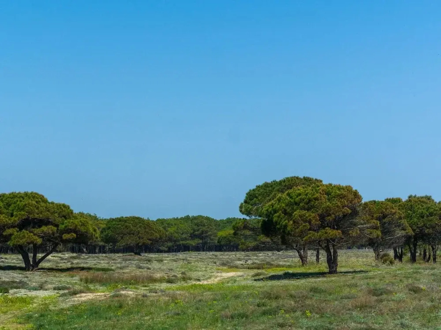 Apartment in Le Barcarès With Swimming Pool, Balcony, Garden