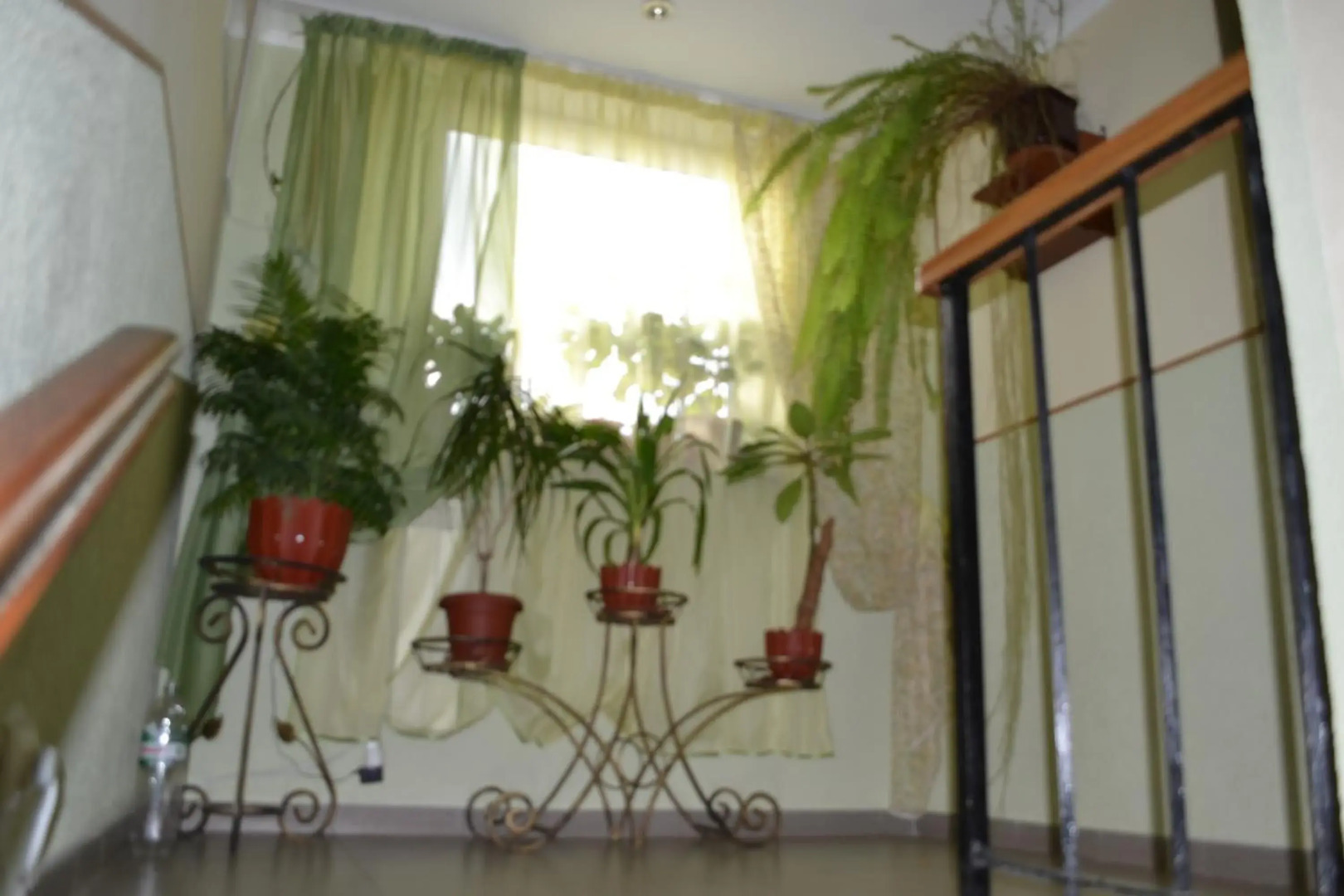 Отель «У Олега»