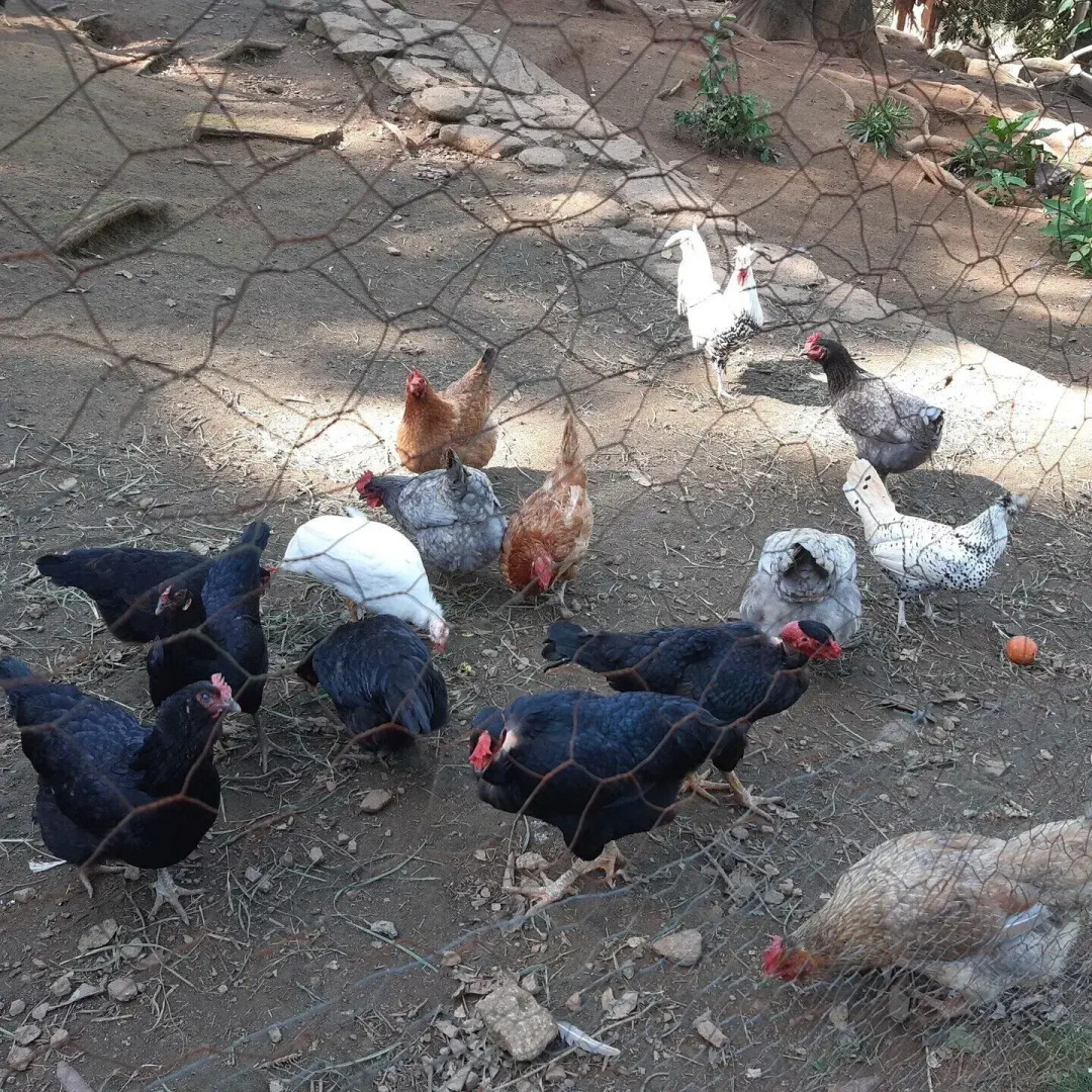 Pousada a Marca do Farao