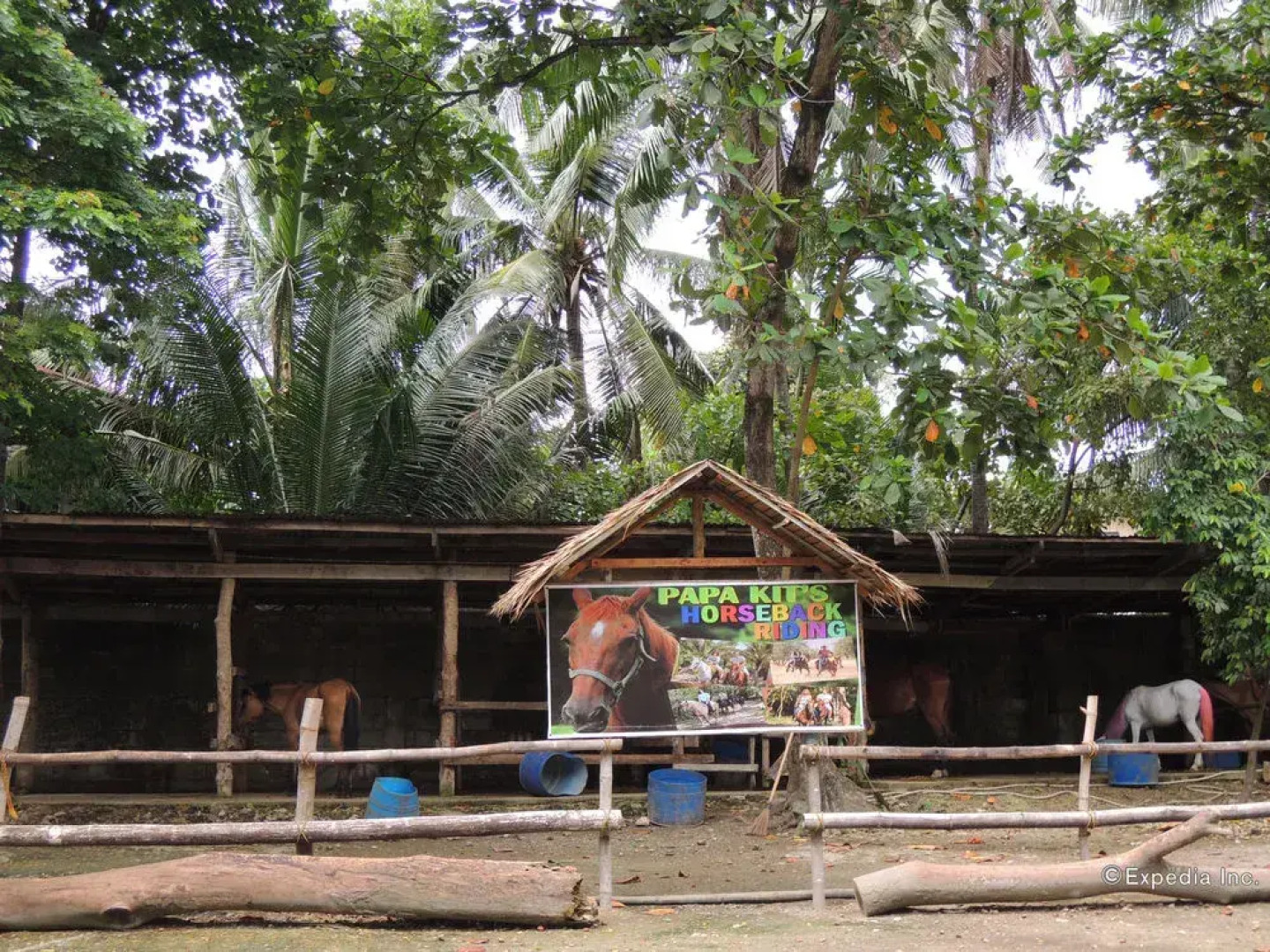 Papa Kit's Marina and Fishing Lagoon