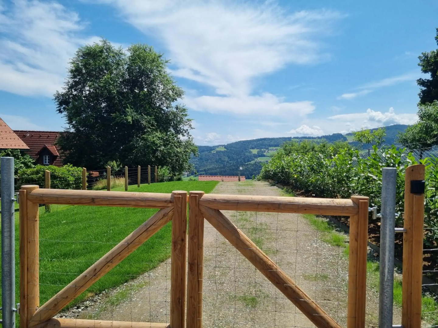 Weinstöckl Hochgrail pures sein