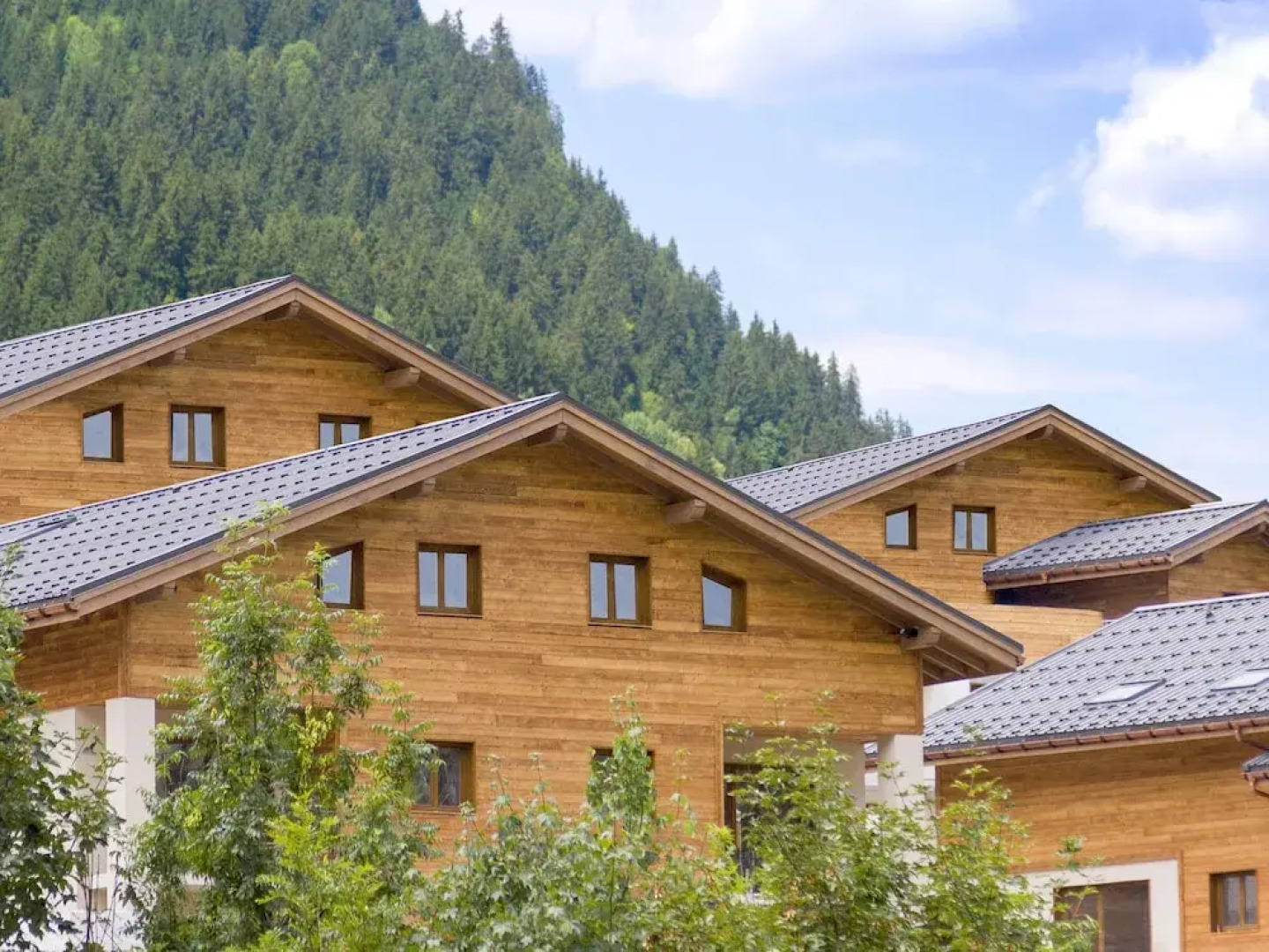 Elegant Apartment 300 m From the ski Lift in a Mountain Village