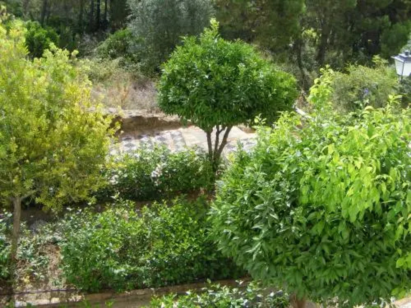 Apartamento Los Naranjos