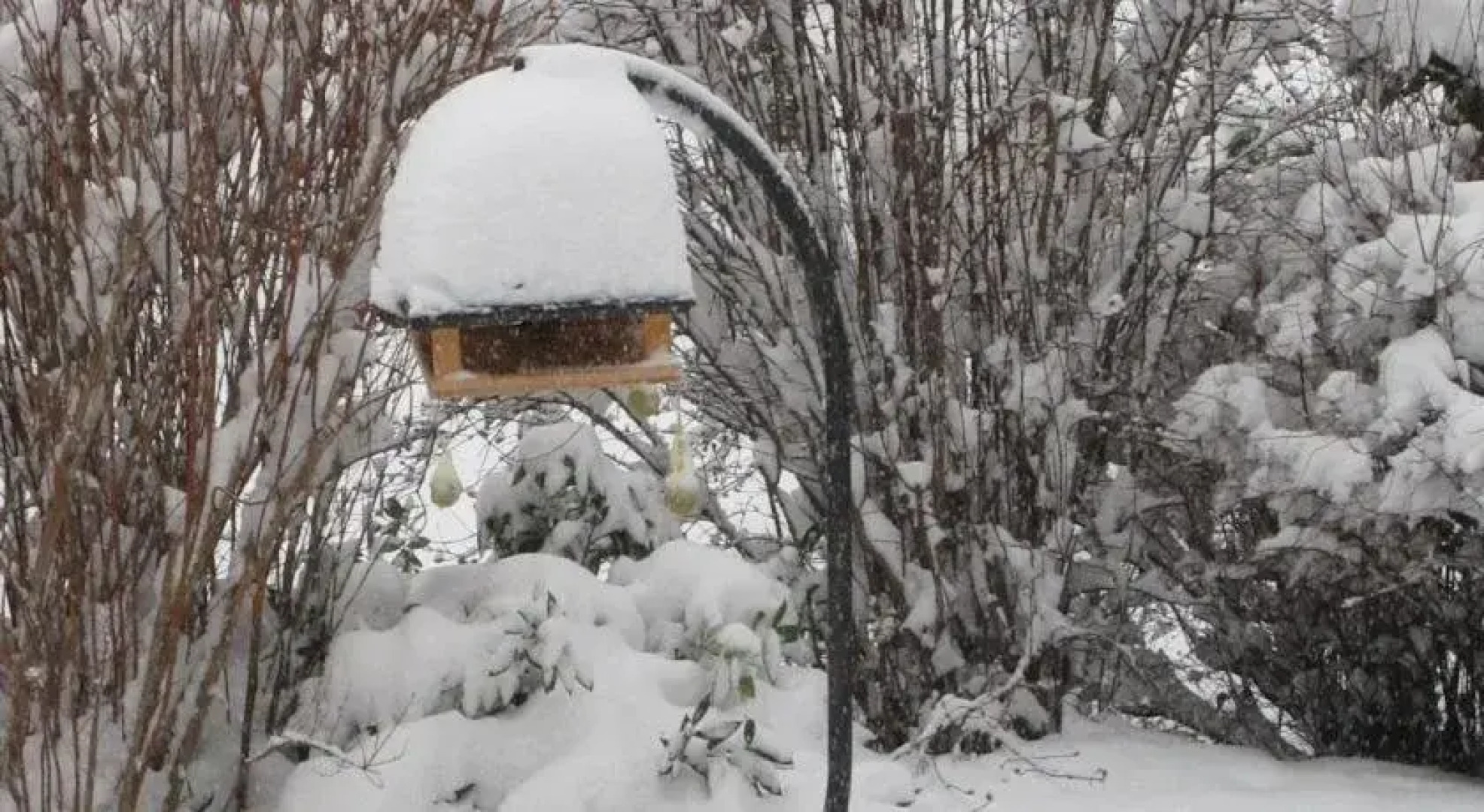 Frühstückspension Hammerschmid