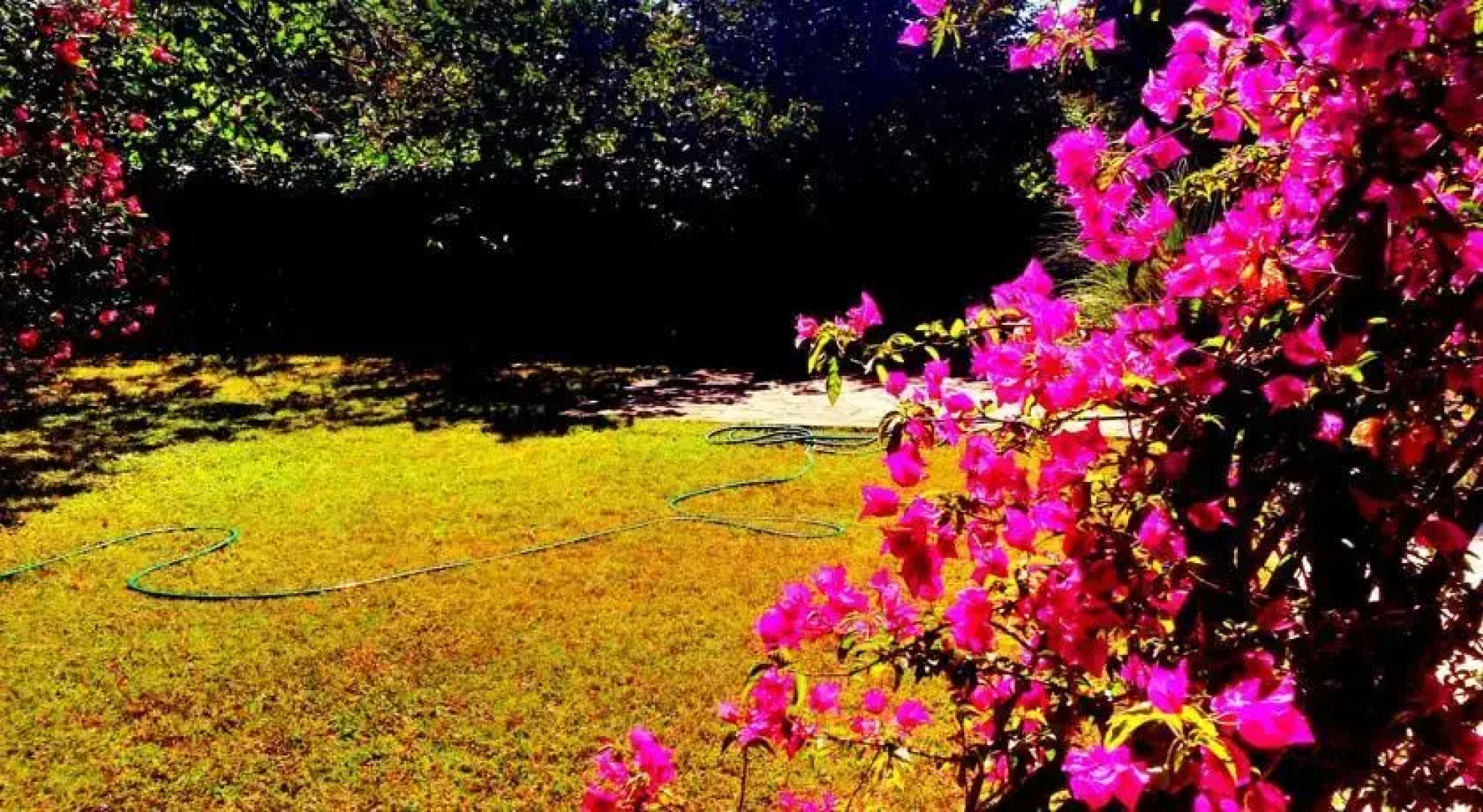 Villa Pia