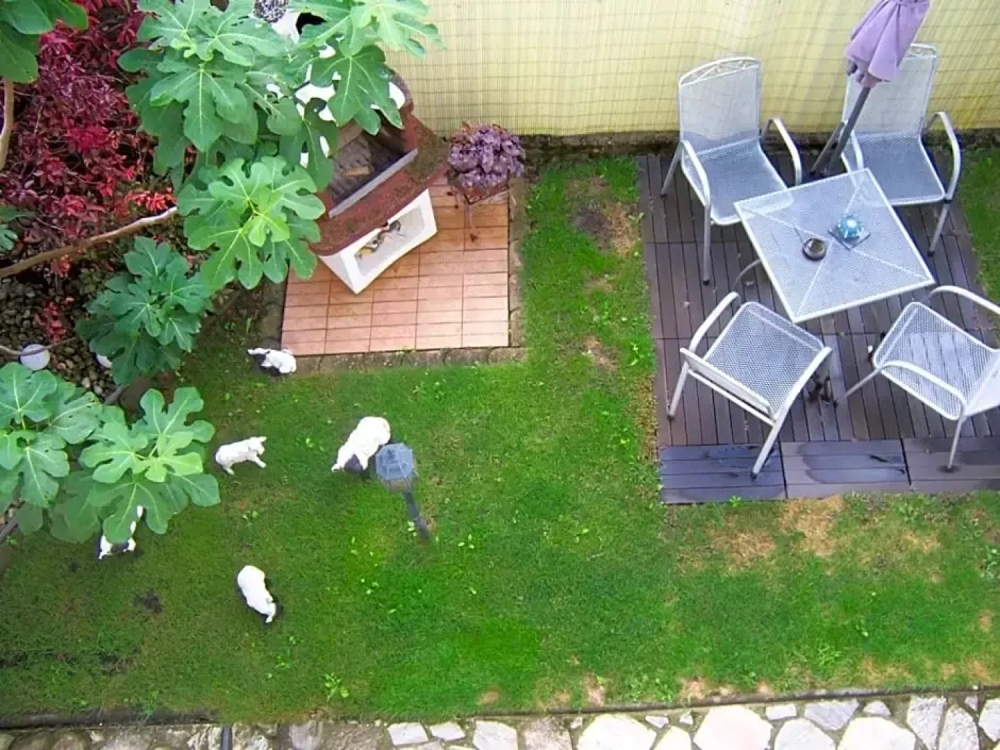 Gästehaus Schneider