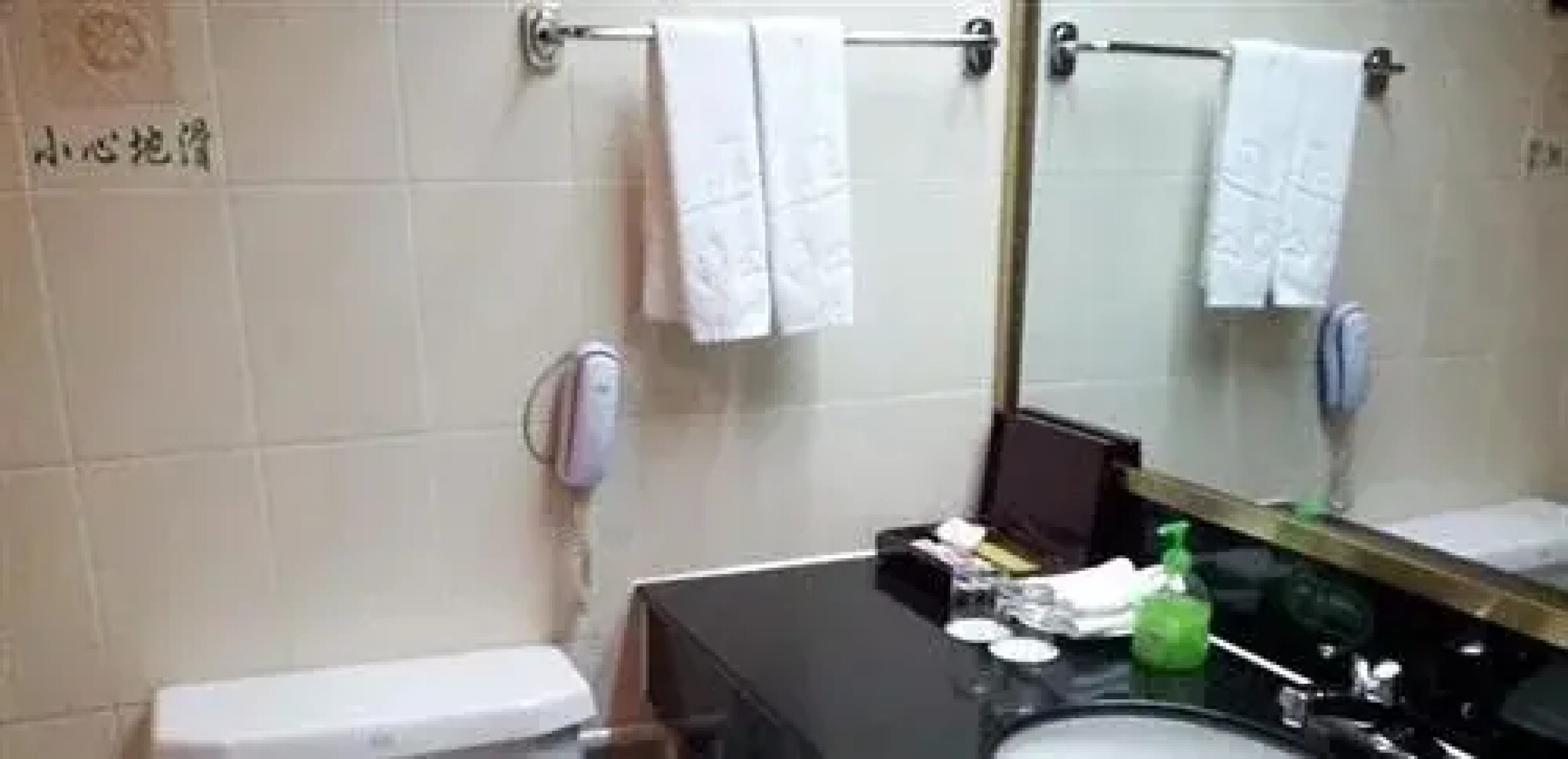 Jiuhua Shanzhuang - Jiuhuashan