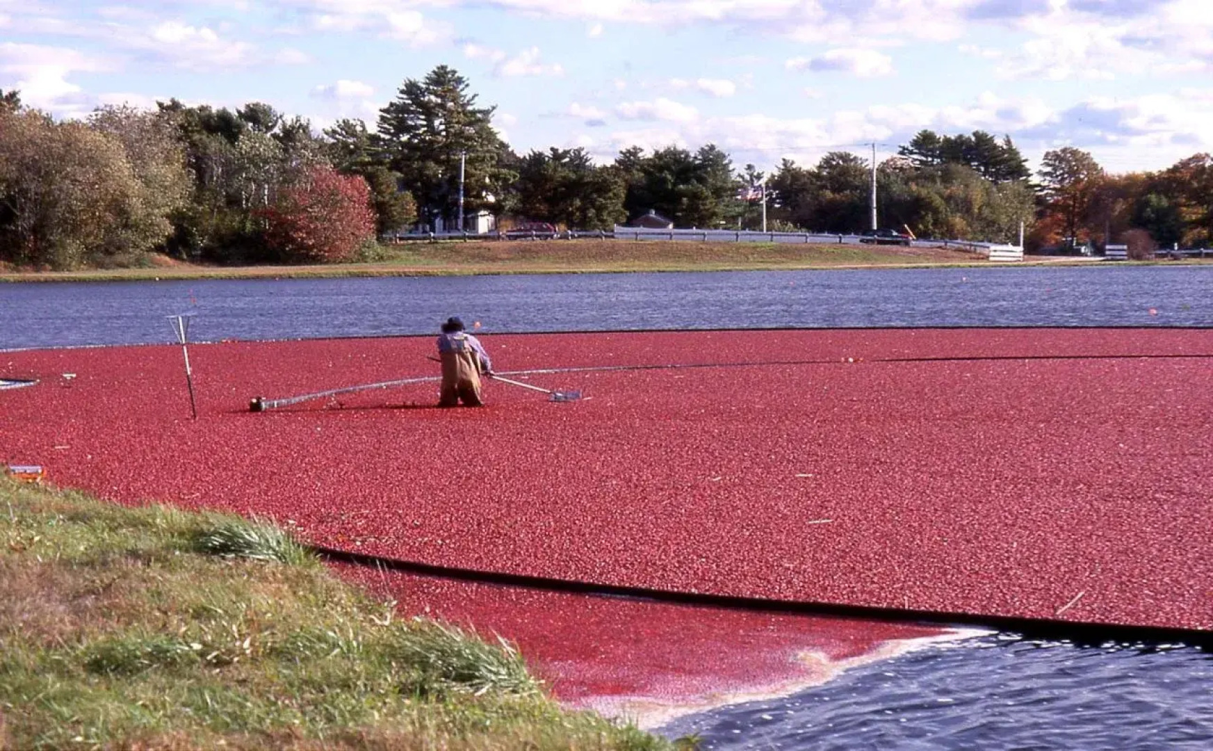 Hampton Inn Raynham-Taunton
