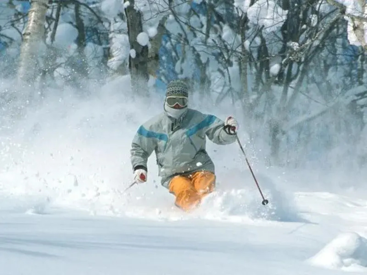 Rusutsu Pension Clydesdale