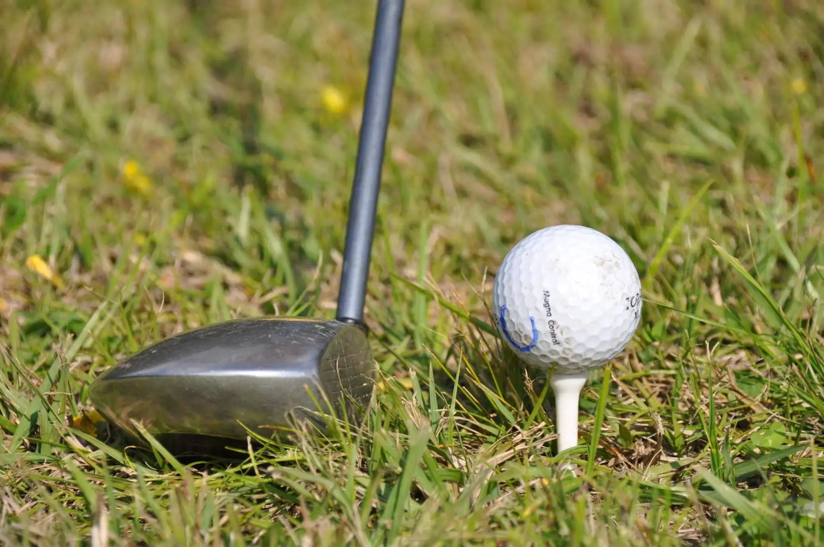 Posada Los Eucaliptus