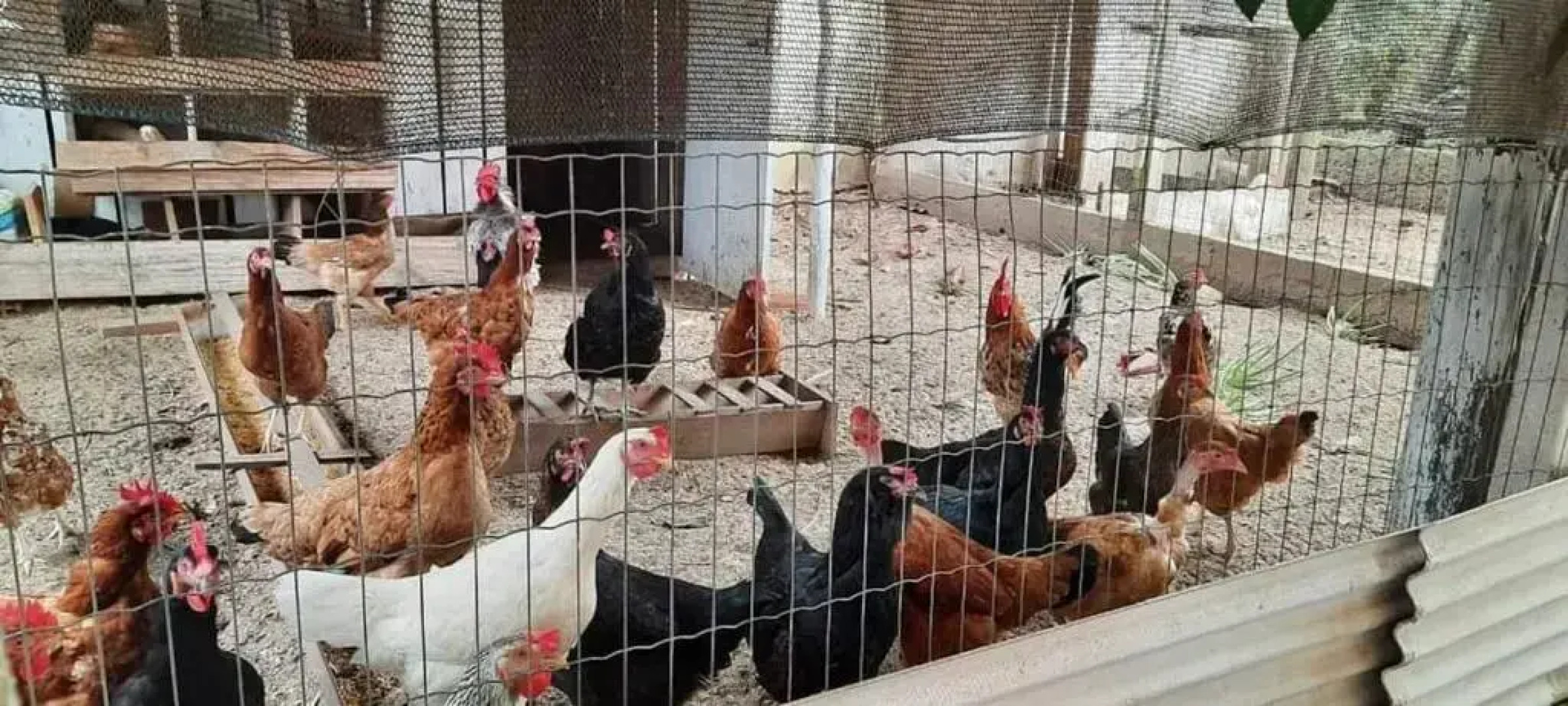 Quarto Suíte Itapoá - SC