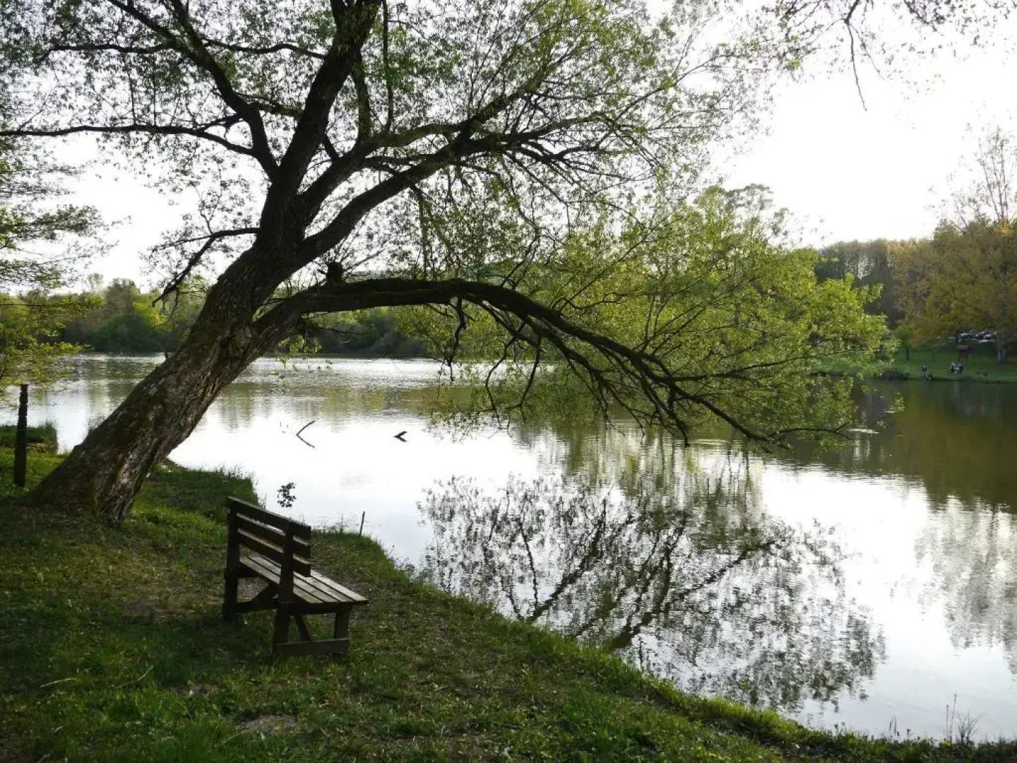 Szarvaskő Nyaraló/ Deer Rock Cottage