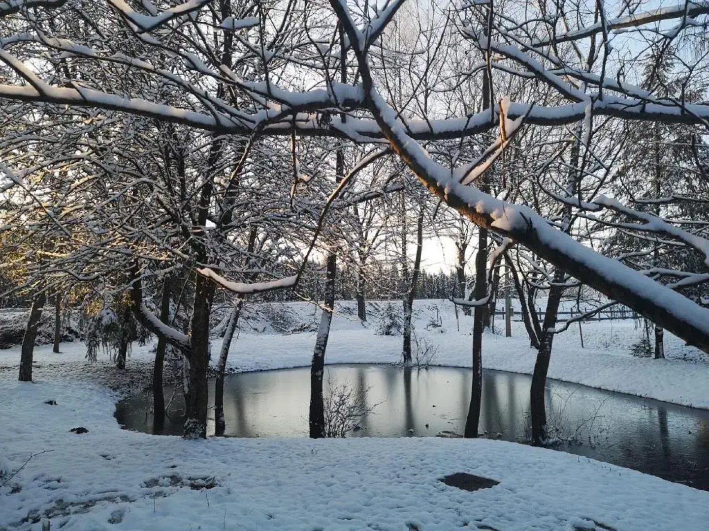 Őrségi Malom Panzio
