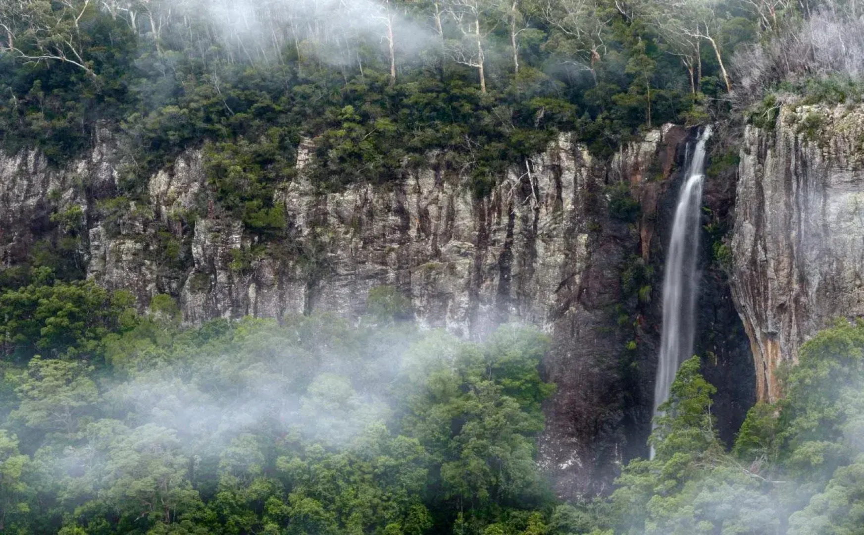 Ruah Rain Forest Retreat