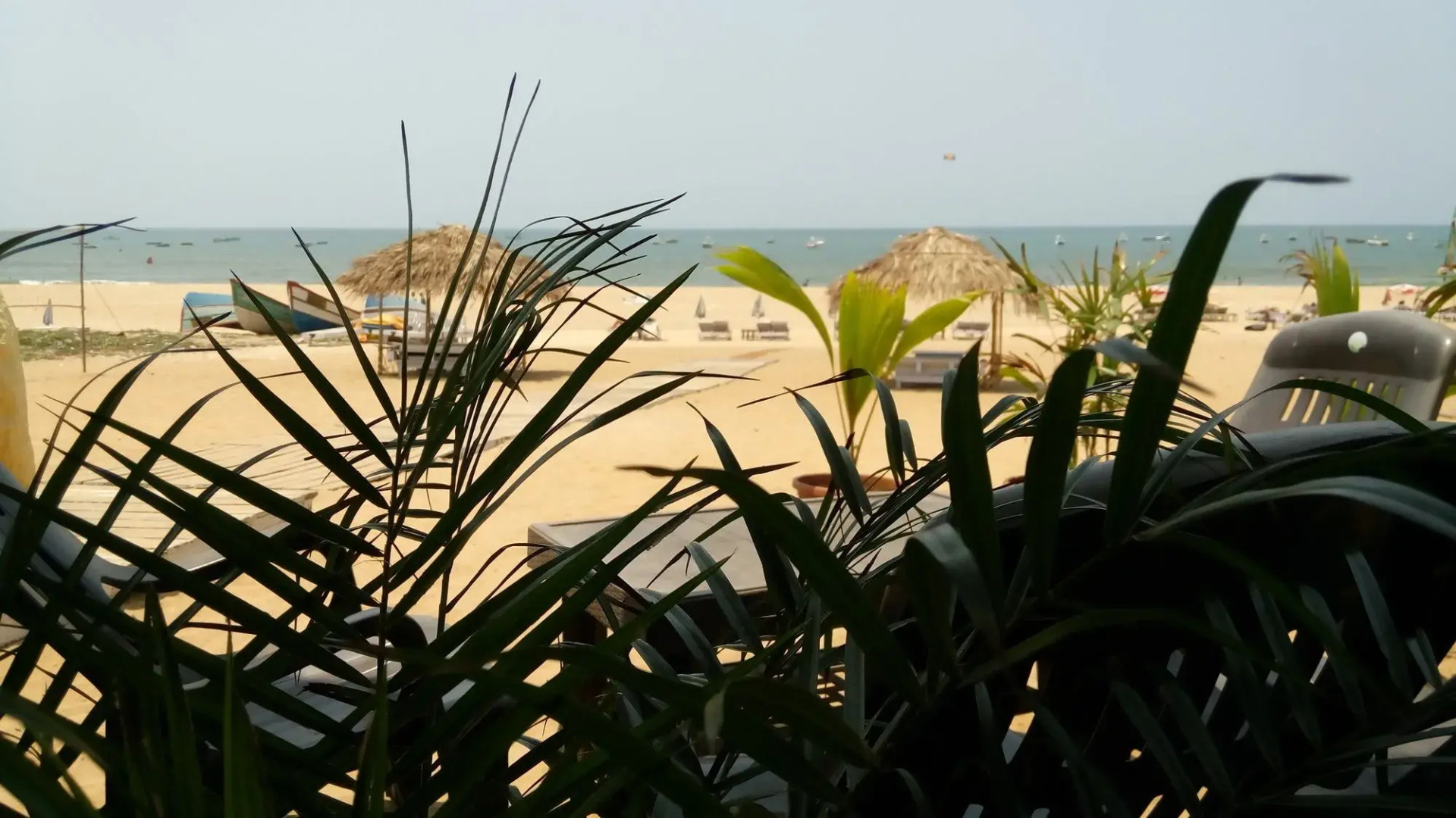 Arudra at Cisco's Beach Shack & Cottages