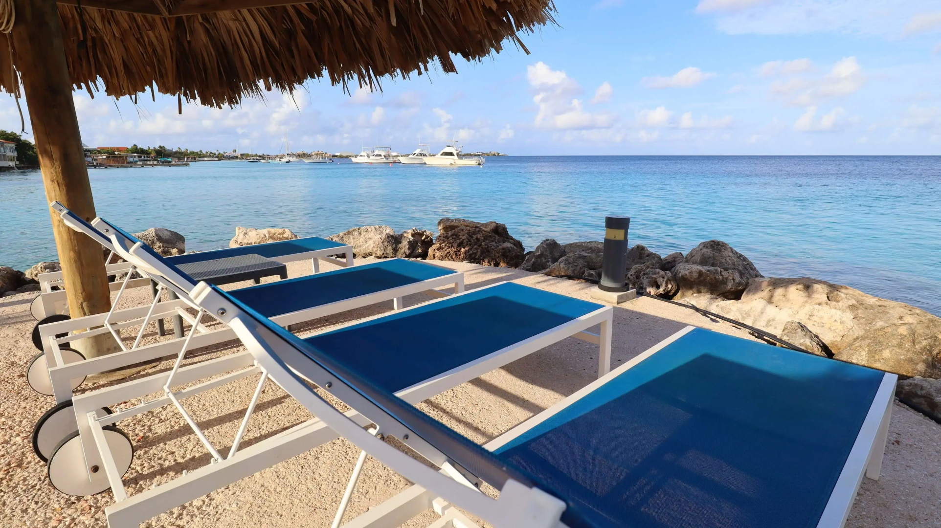 Divi Flamingo Beach Resort & Casino