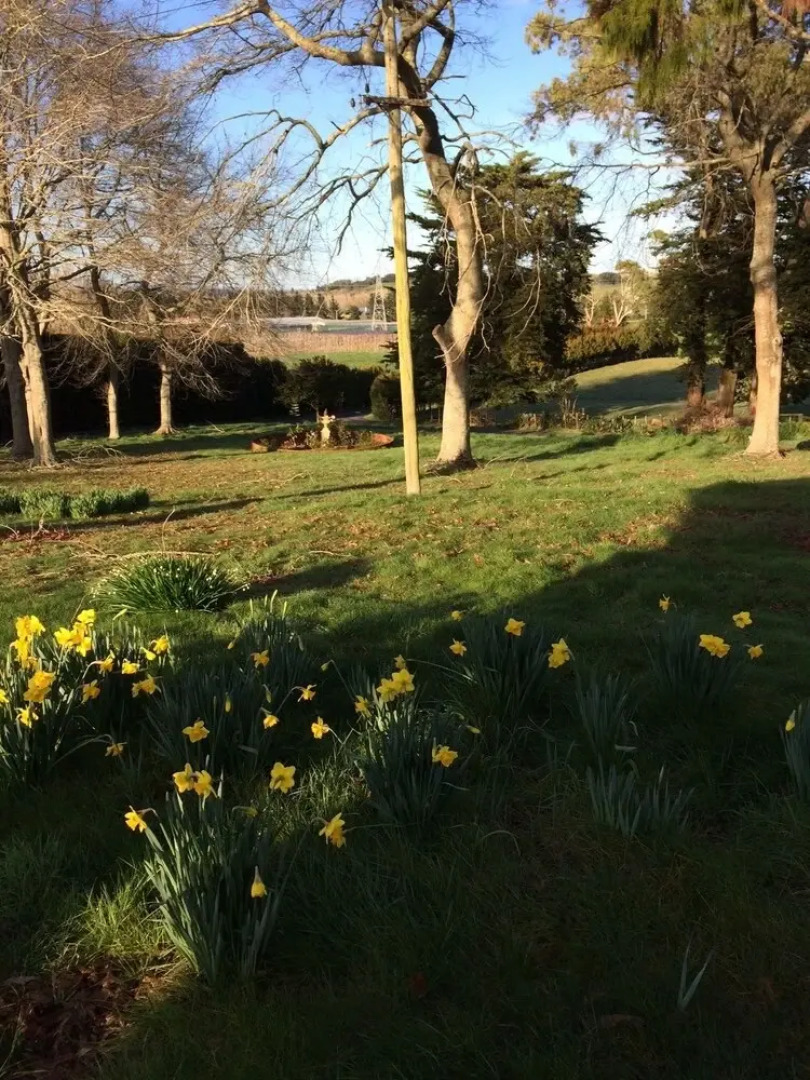 Country Getaway in Brookby