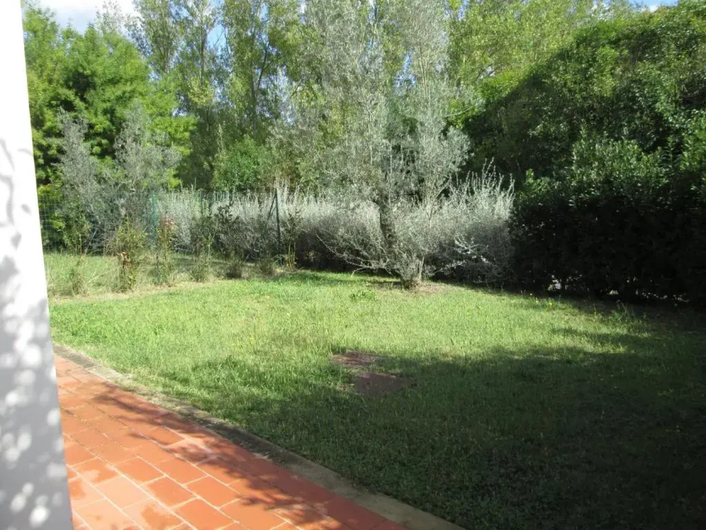 Fattoria La Steccaia