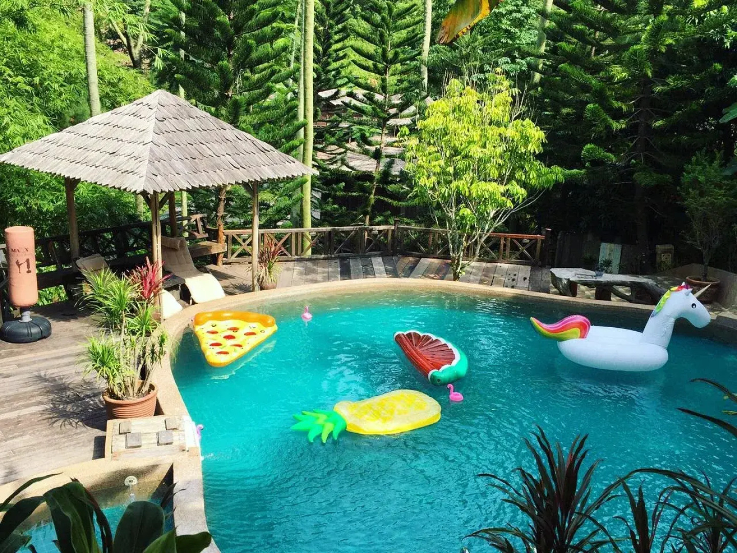 Fig Tree Hill Resort